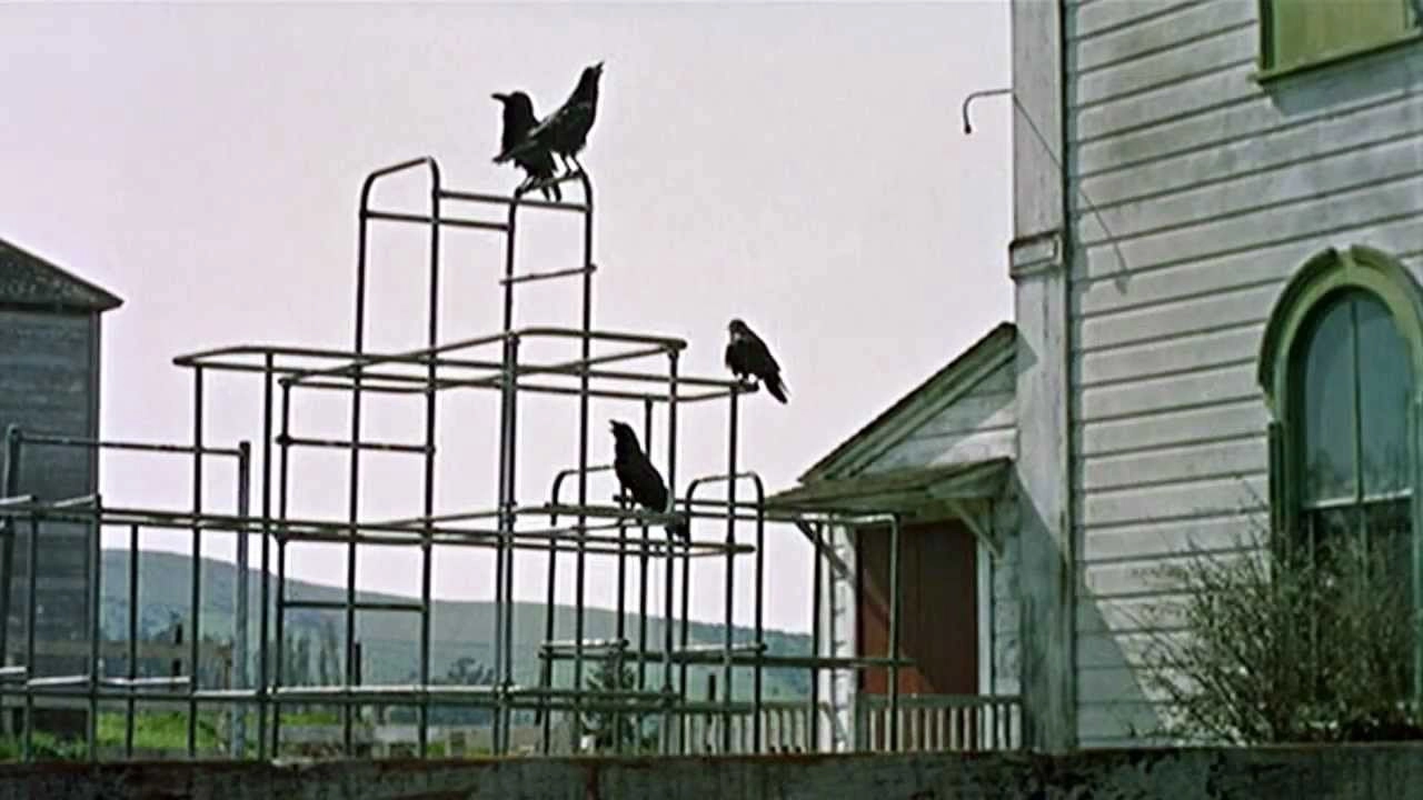The Birds