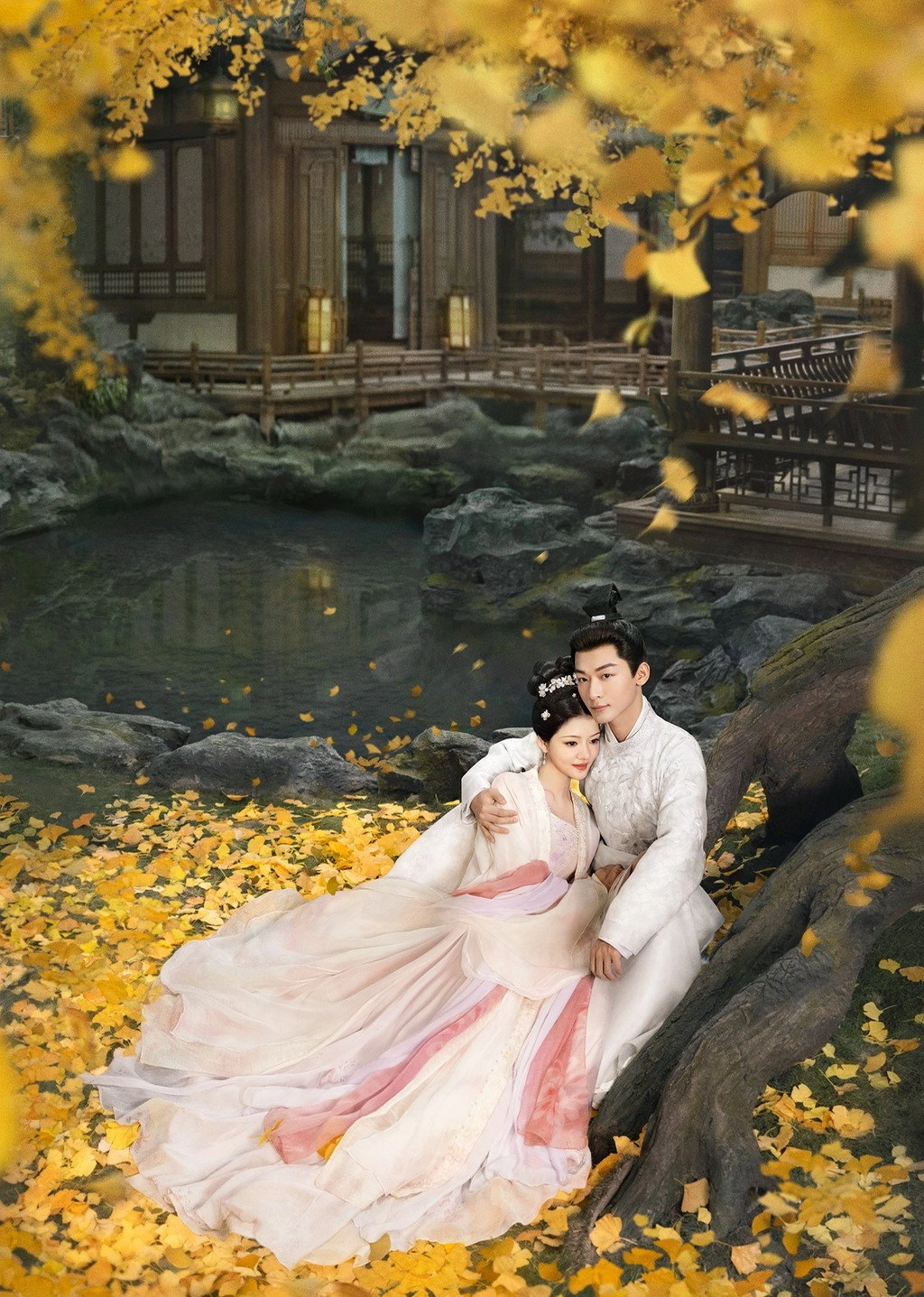 The Rise of Ning