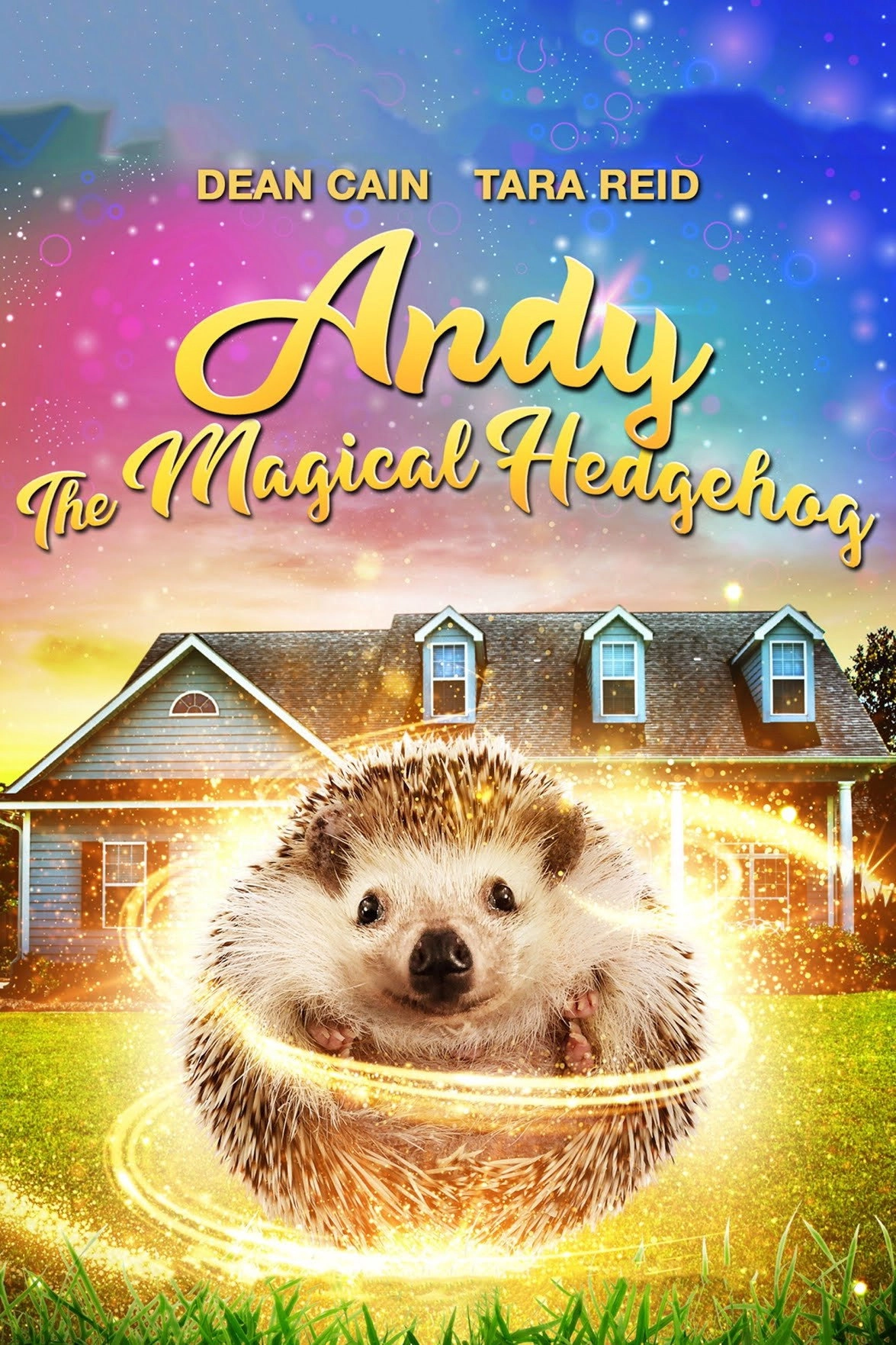 Andy the Talking Hedgehog