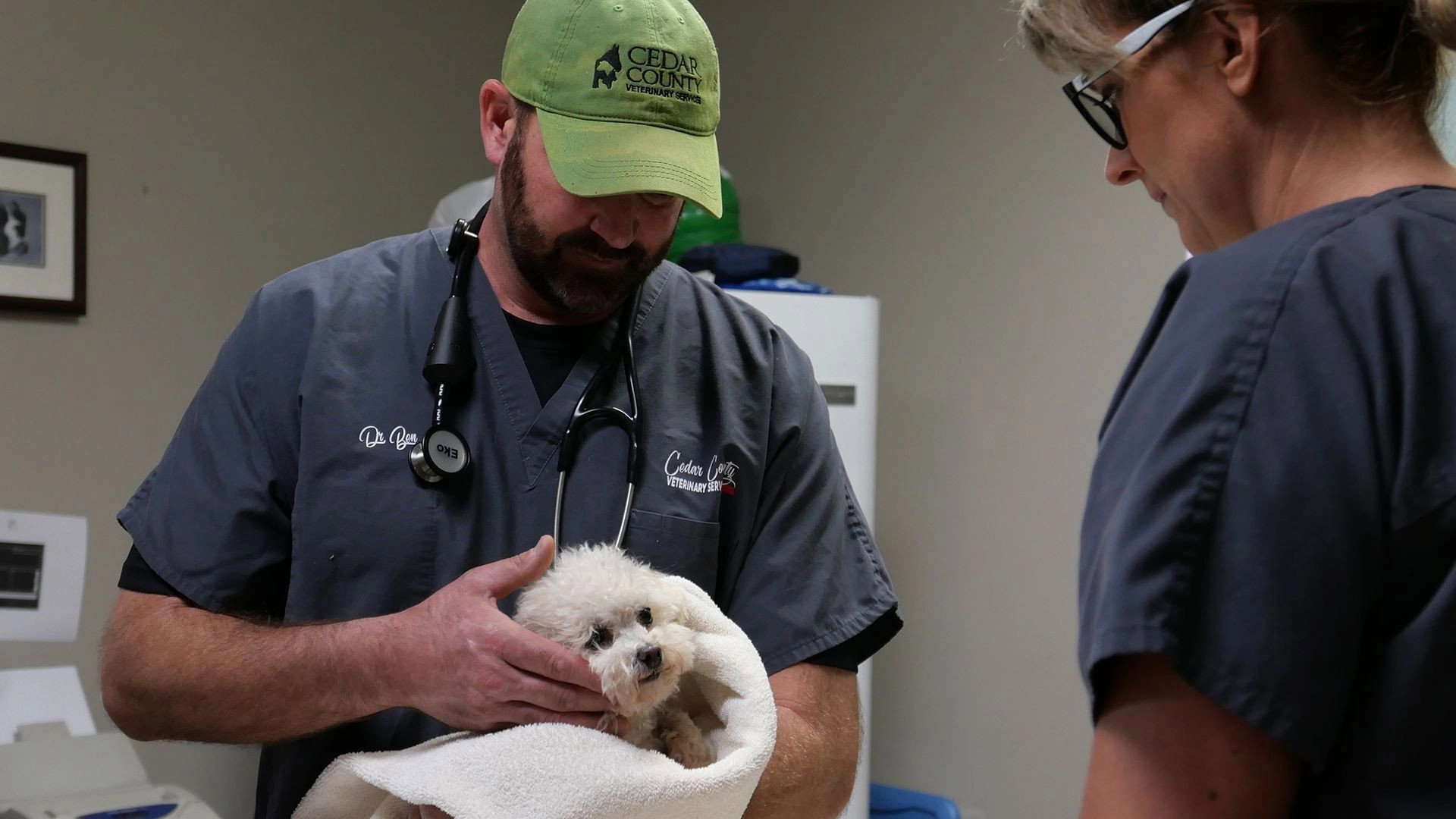 Heartland Docs, DVM