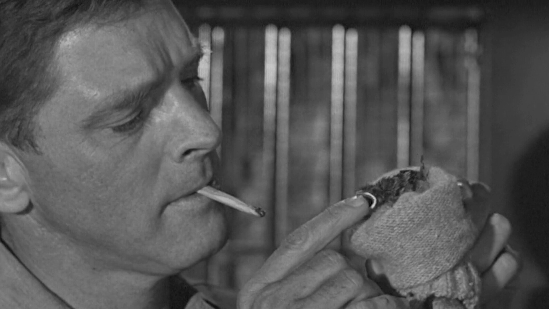 Birdman of Alcatraz