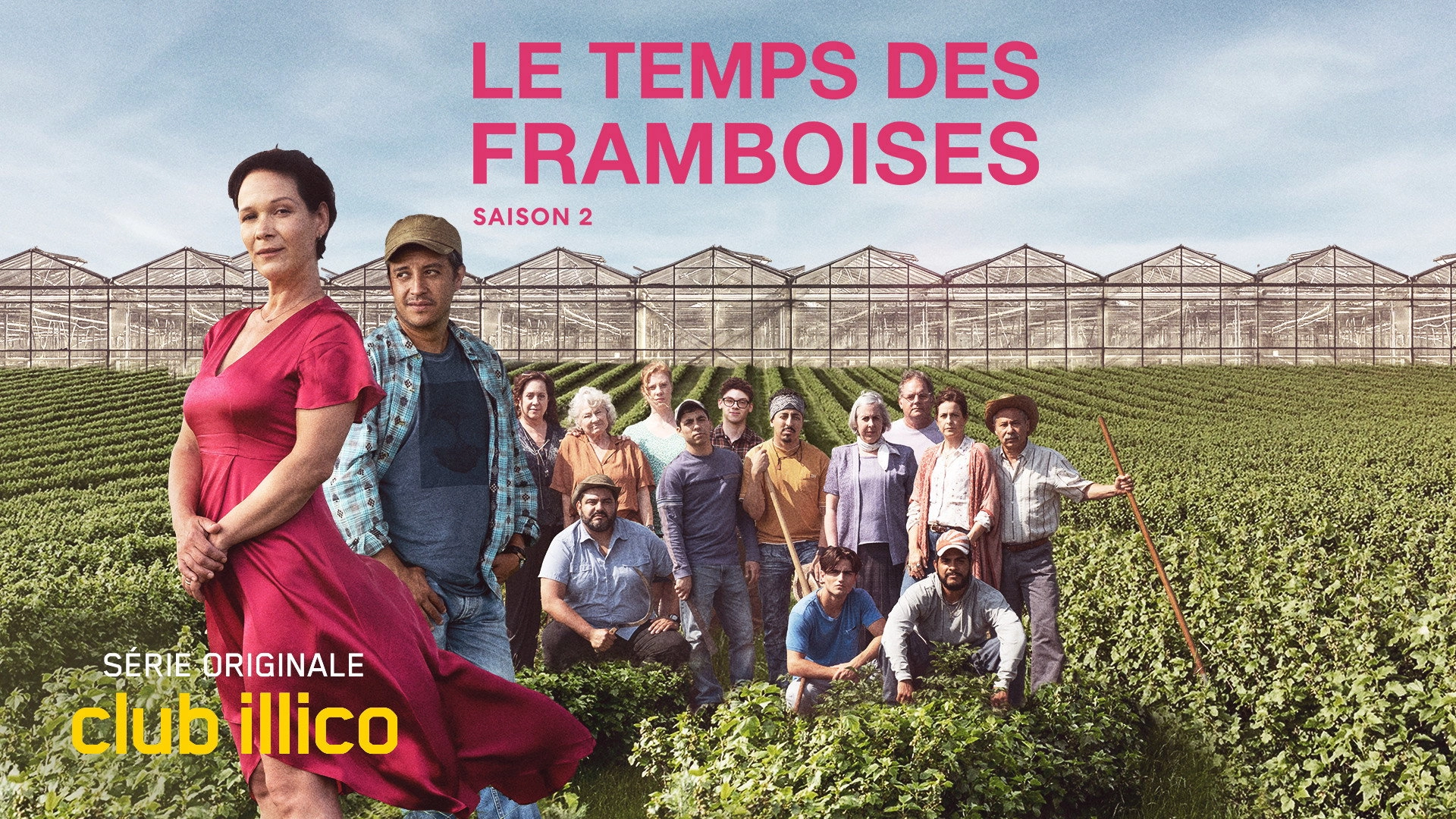 Le temps des framboises