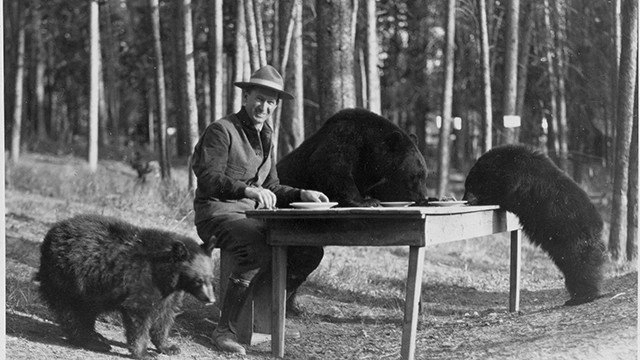 The National Parks: America's Best Idea