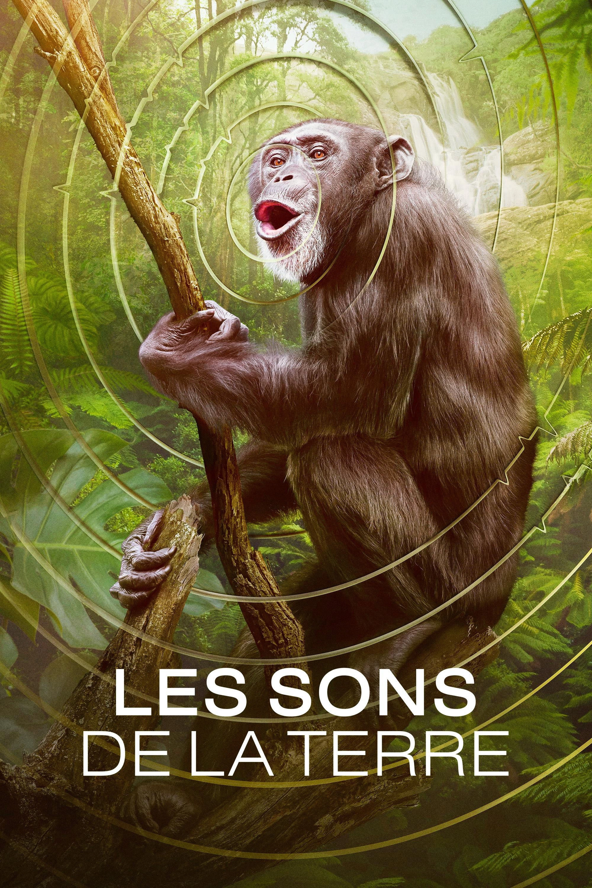 Earthsounds