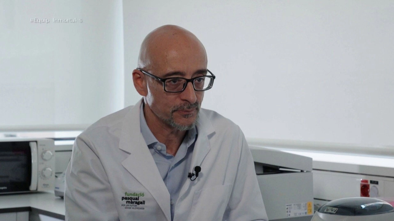 Equipo de investigación