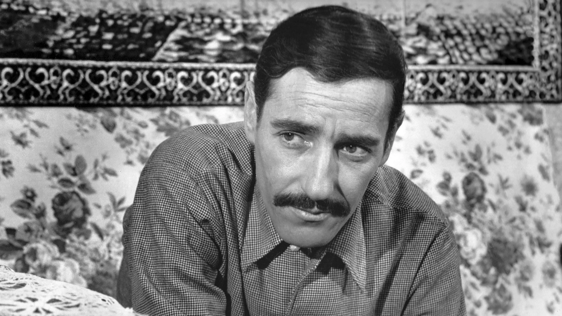 Hassan Terro