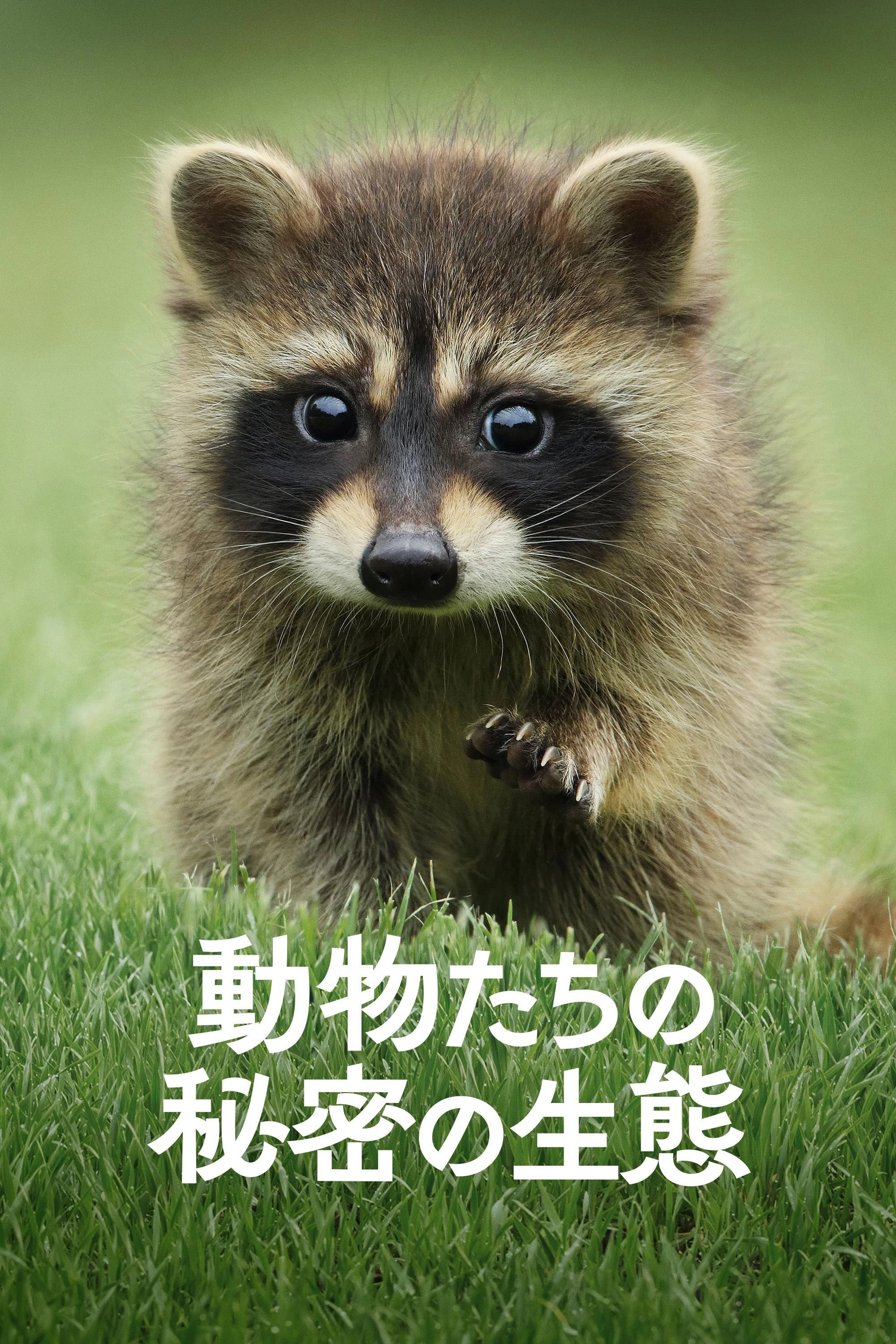 The Secret Lives of Animals