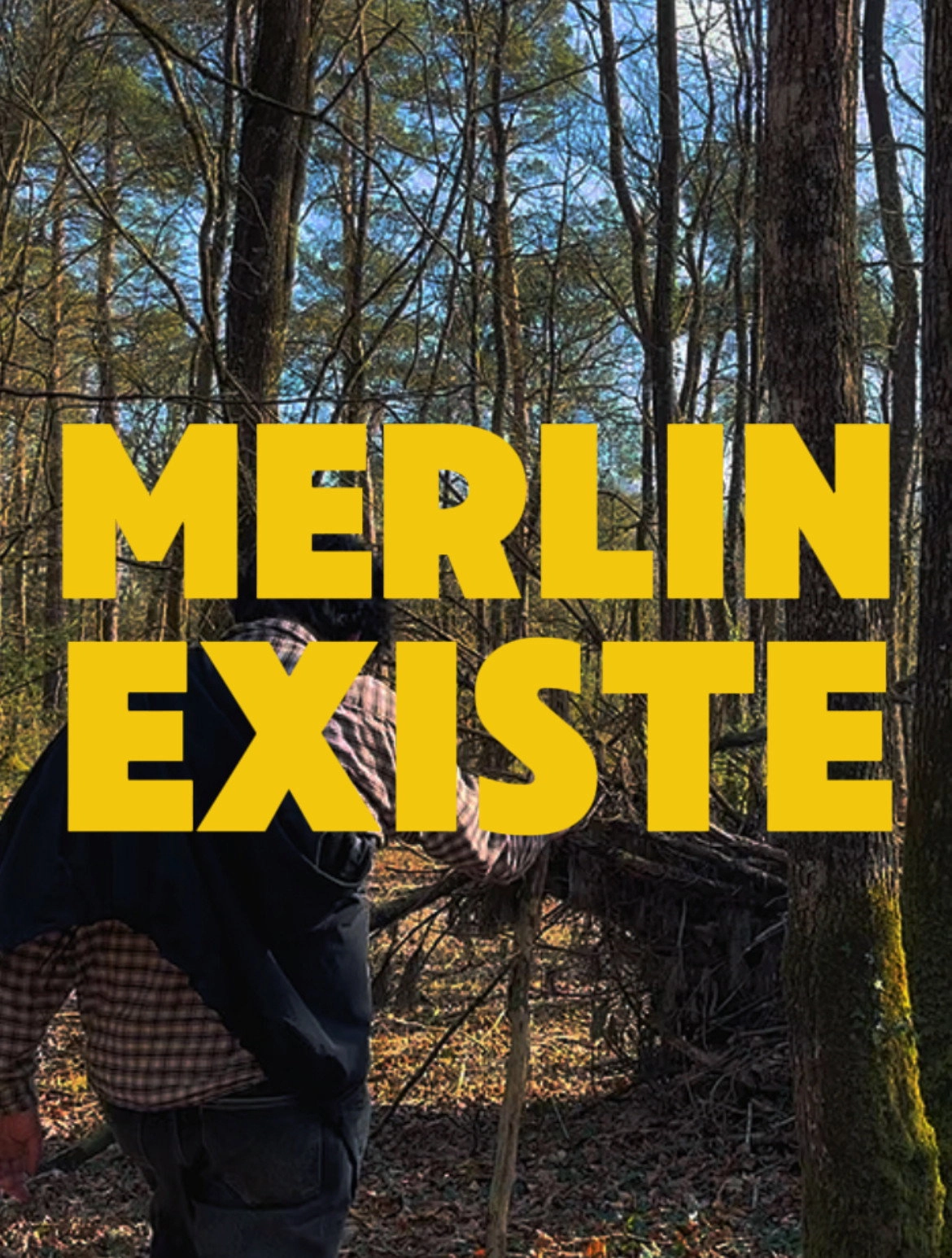 Merlin Existe