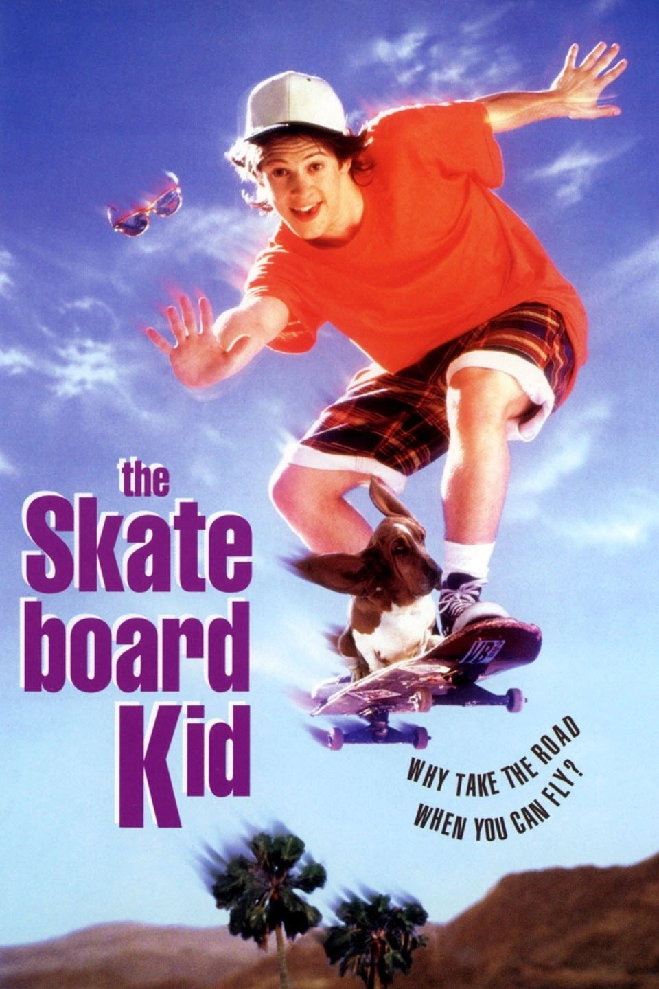 The Skateboard Kid