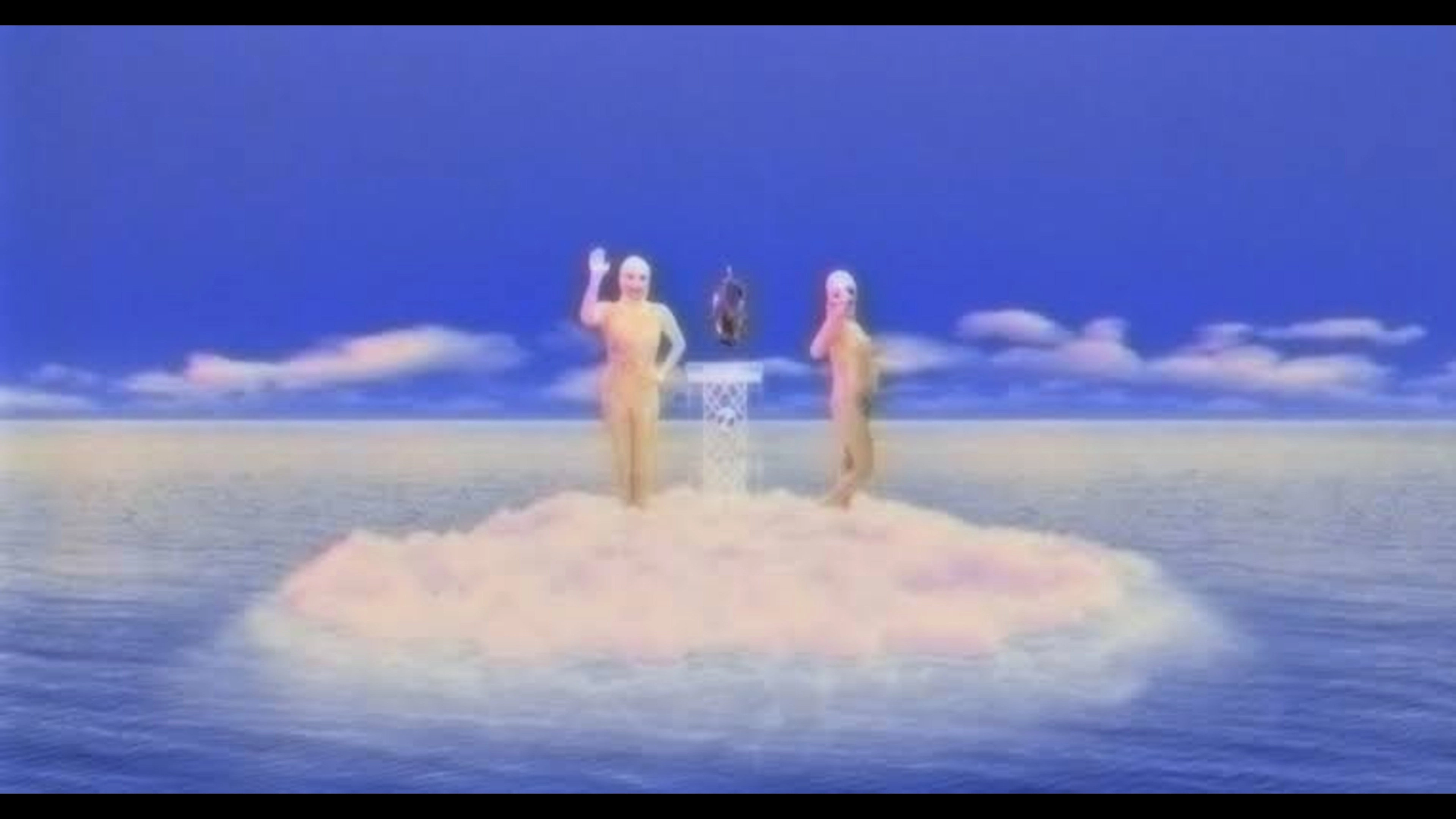 Imaginal Disk