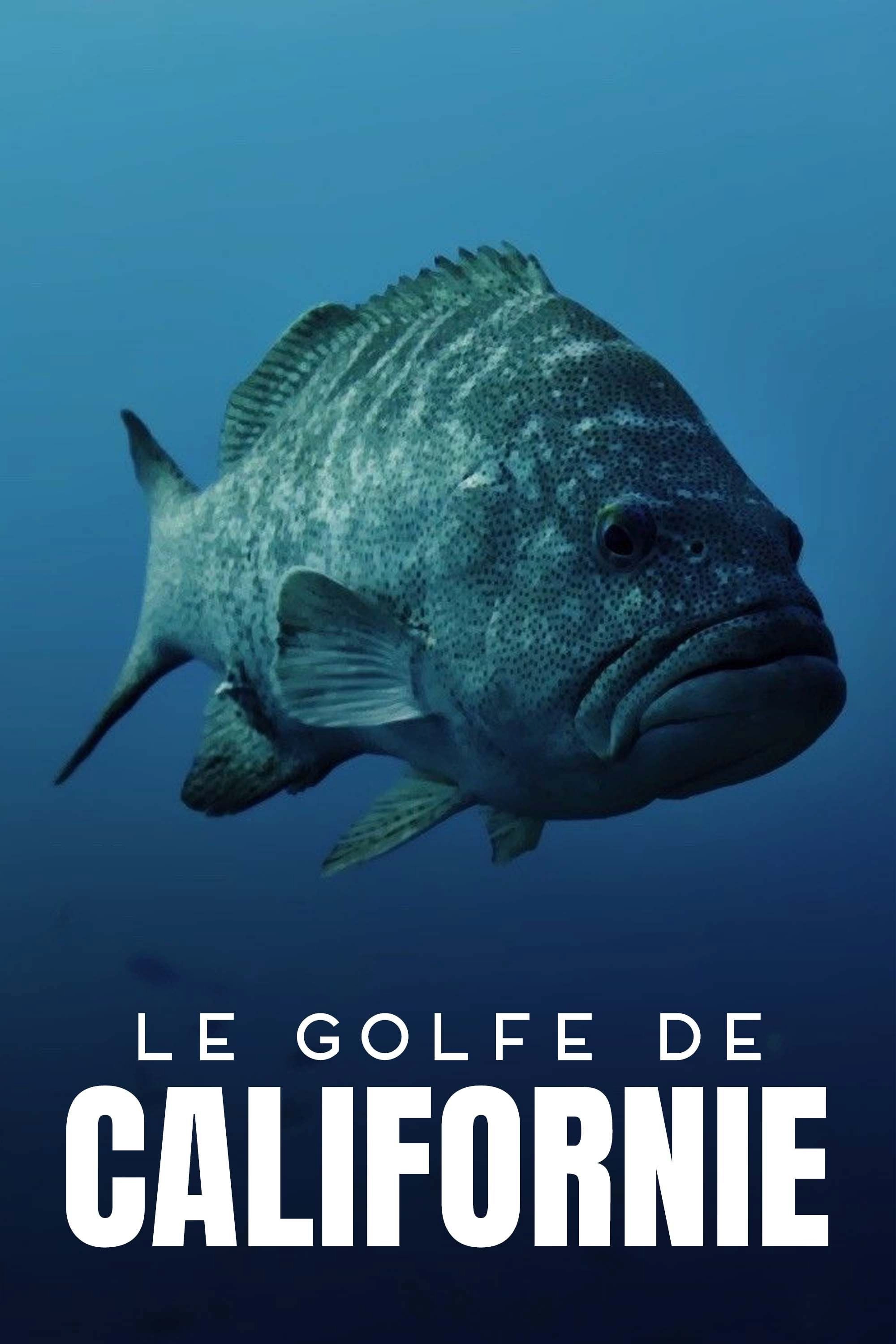 Golf von Kalifornien