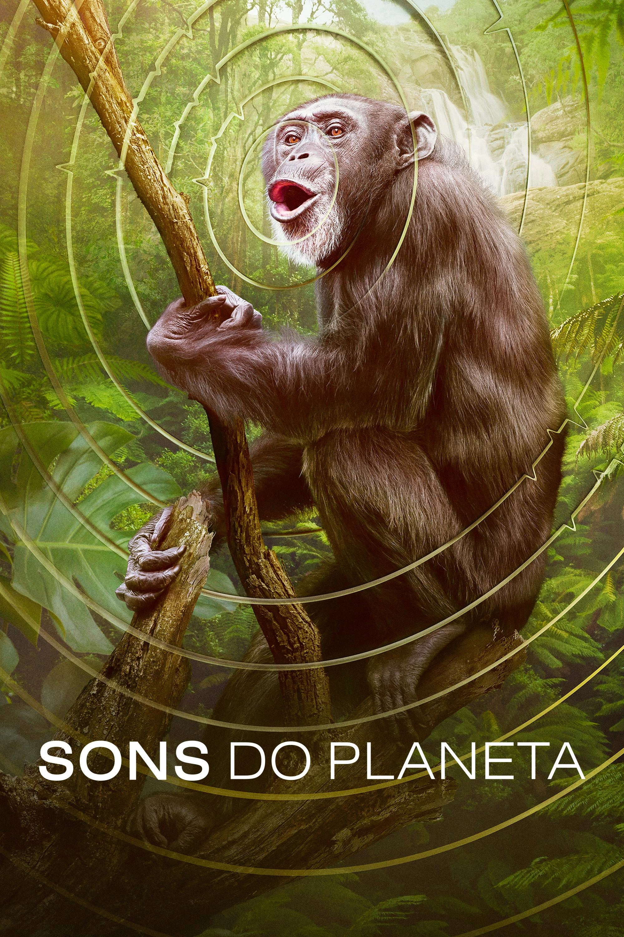 Earthsounds