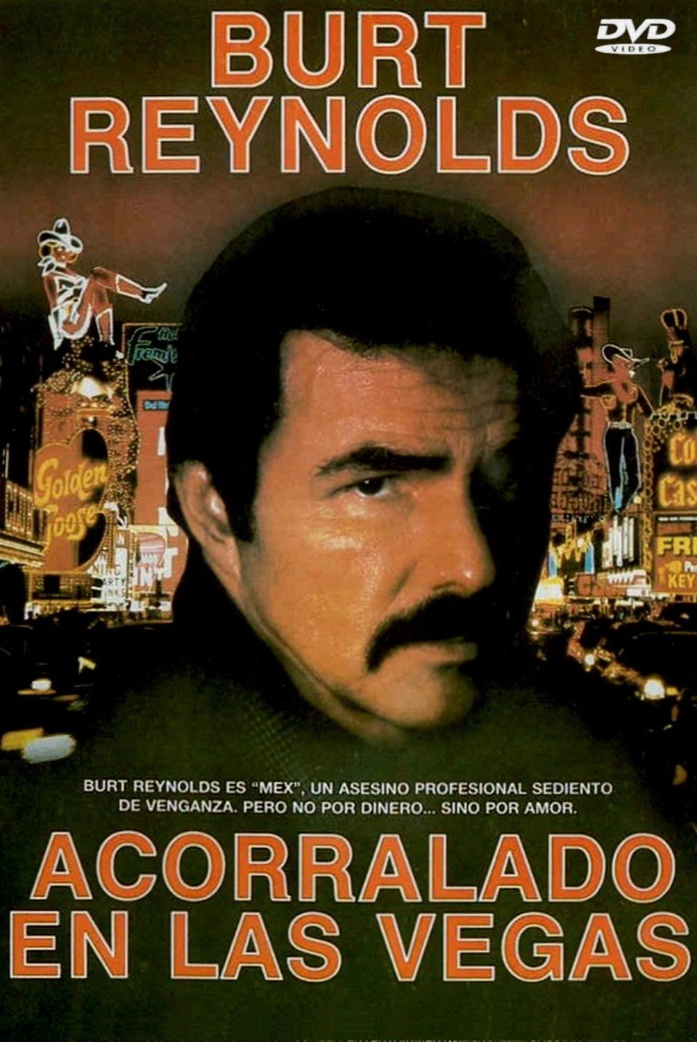Heat