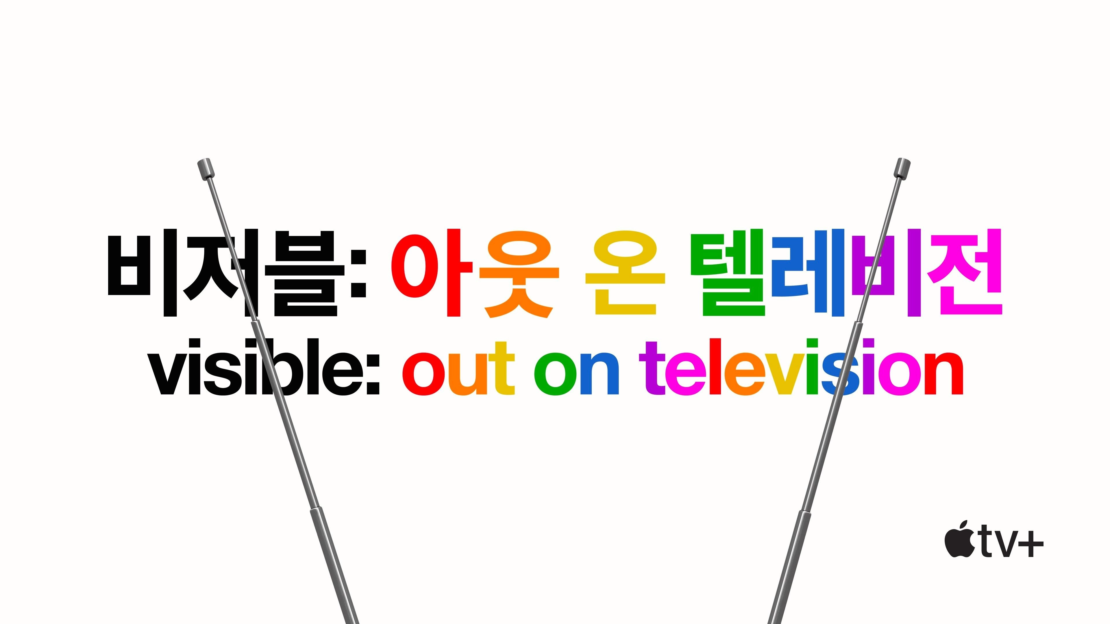 Visible: Out on Television