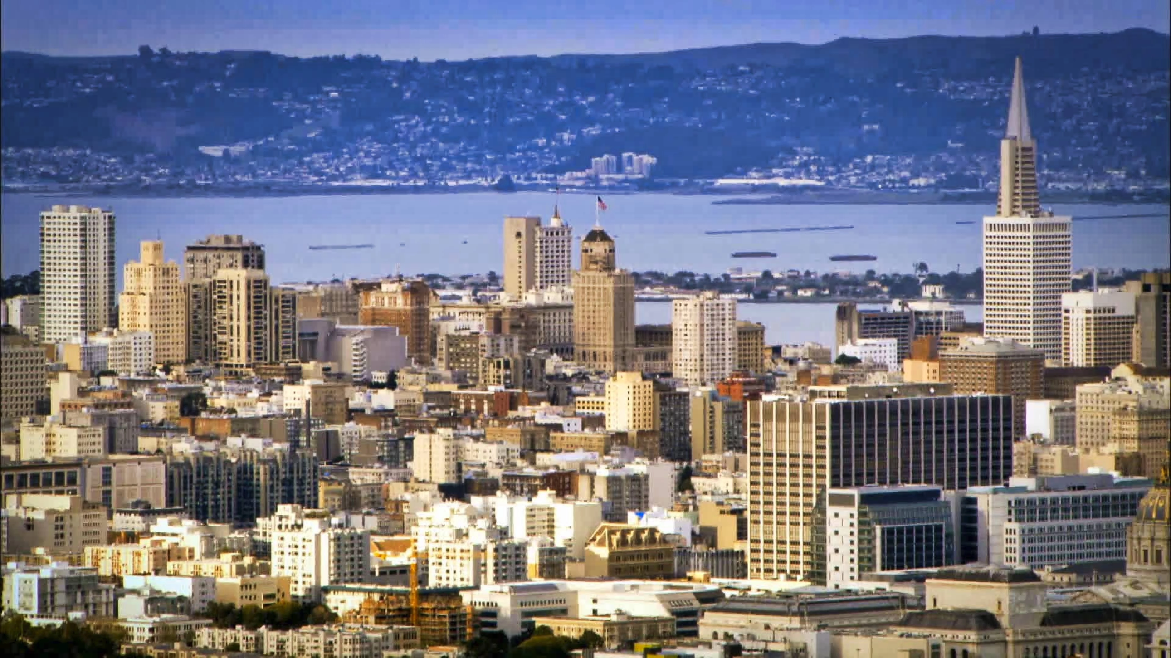Strip the City