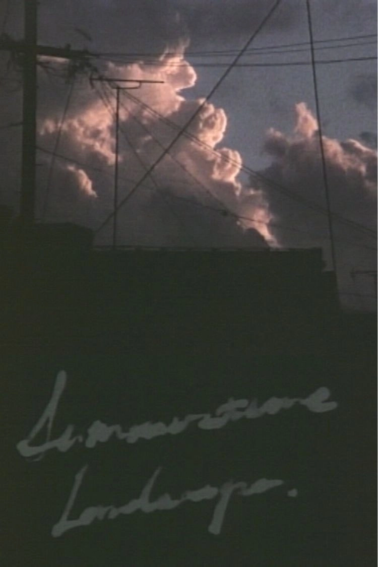 Summertime Landscape
