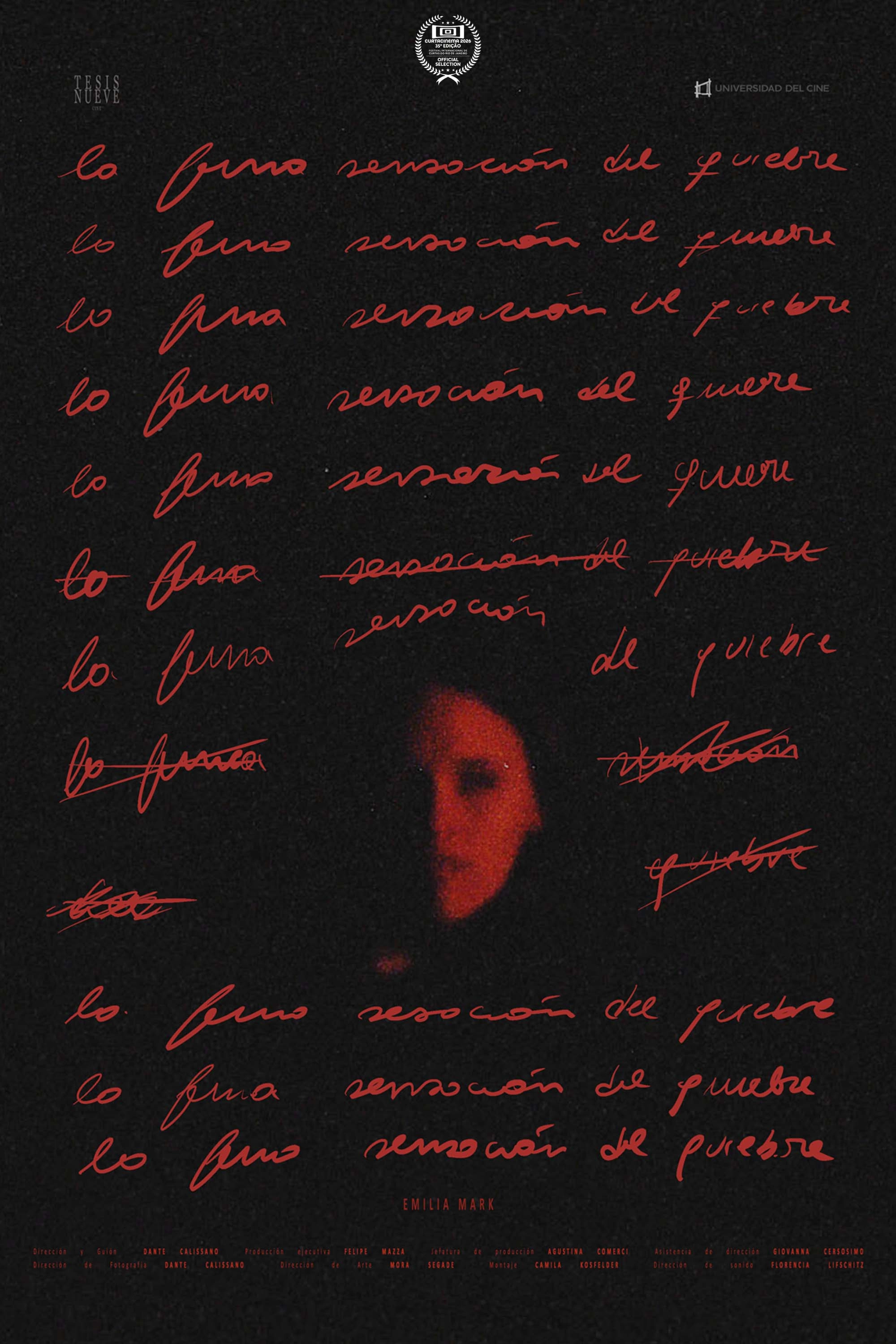 La fina sensación del quiebre