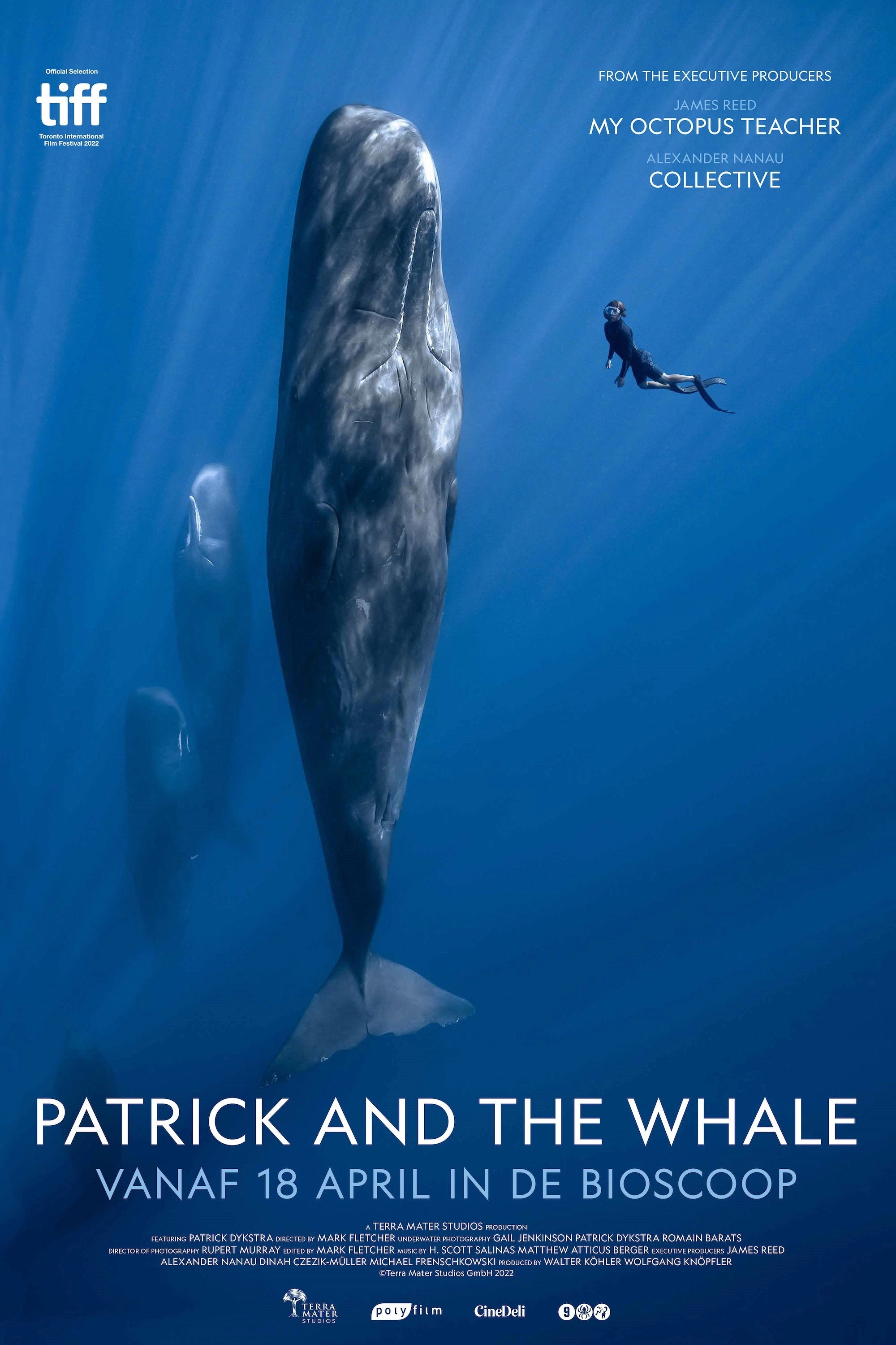 Patrick and the Whale
