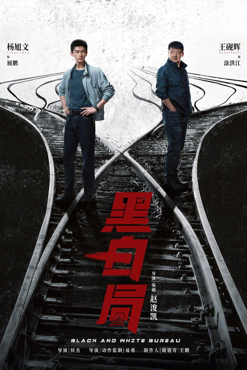 Double Track Puzzle