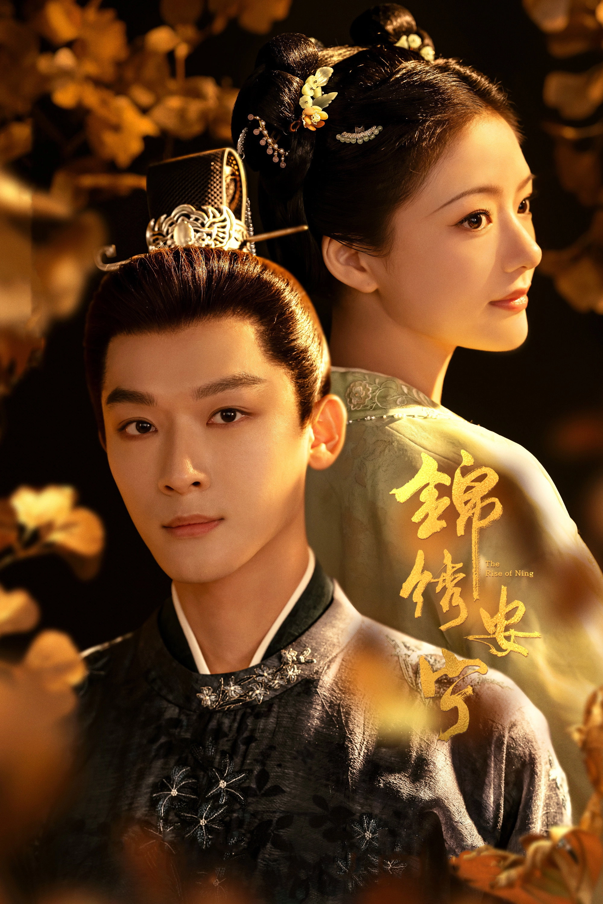 The Rise of Ning