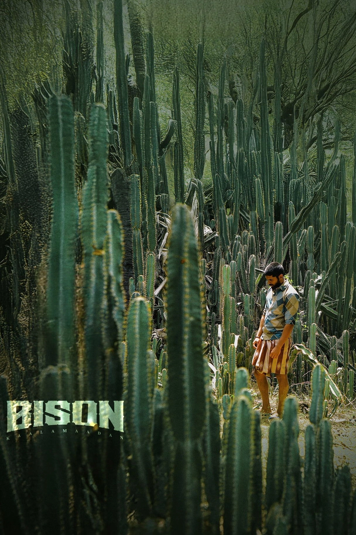 Bison Kaalamaadan
