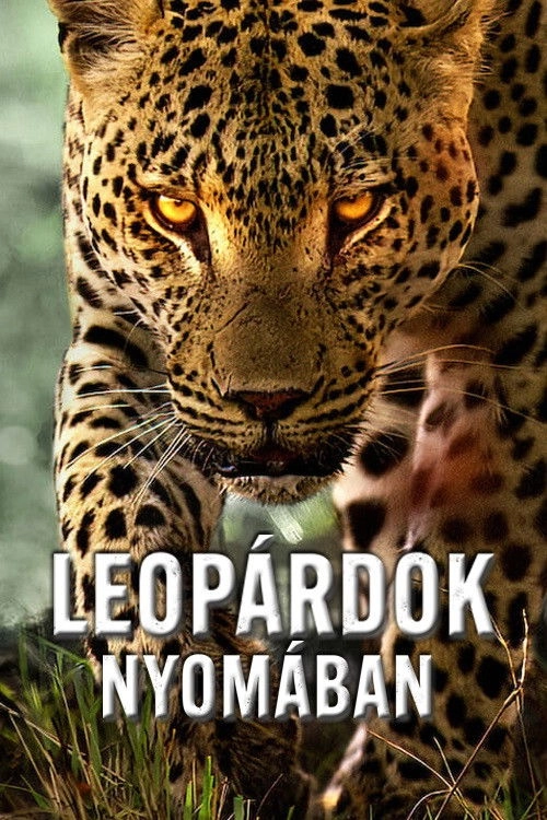 Living with Leopards