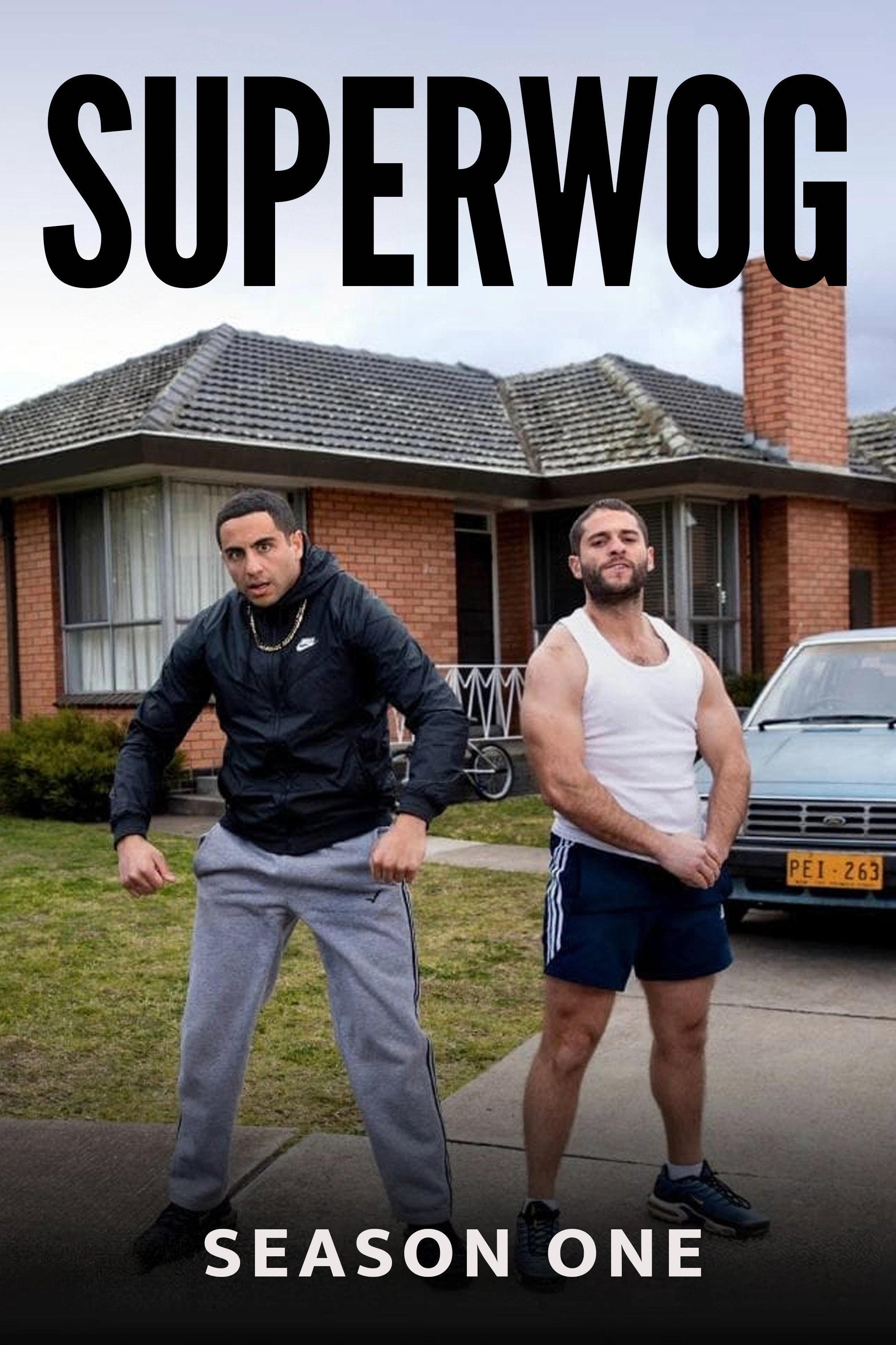 Superwog