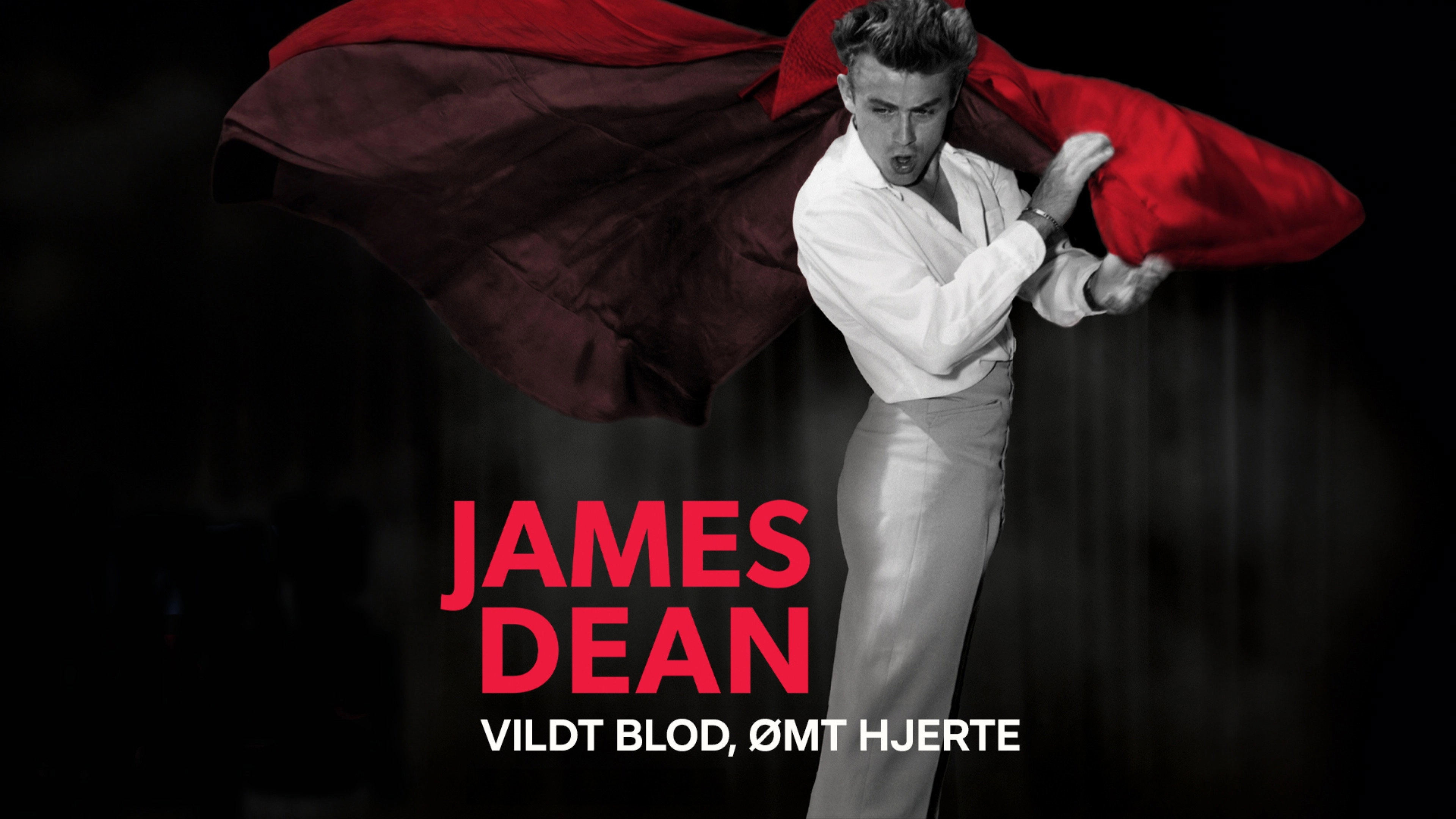 James Dean: Rebel Generation