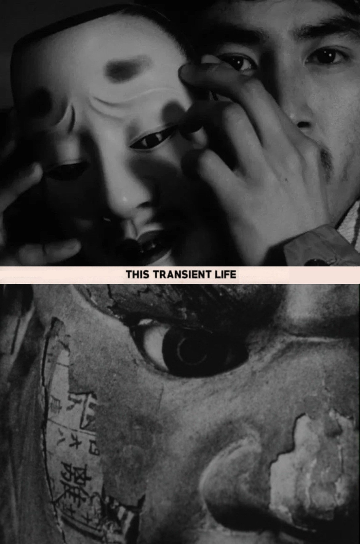This Transient Life