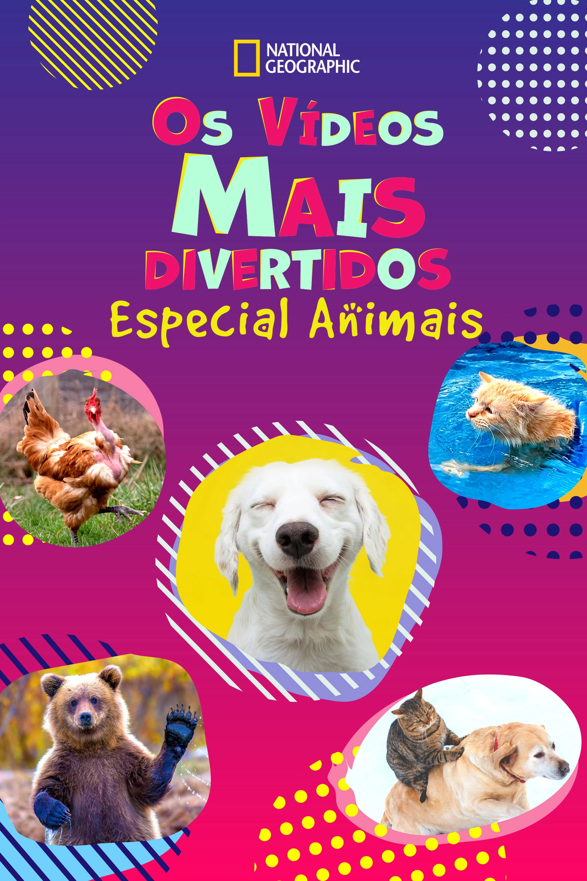 America's Funniest Home Videos: Animal Edition