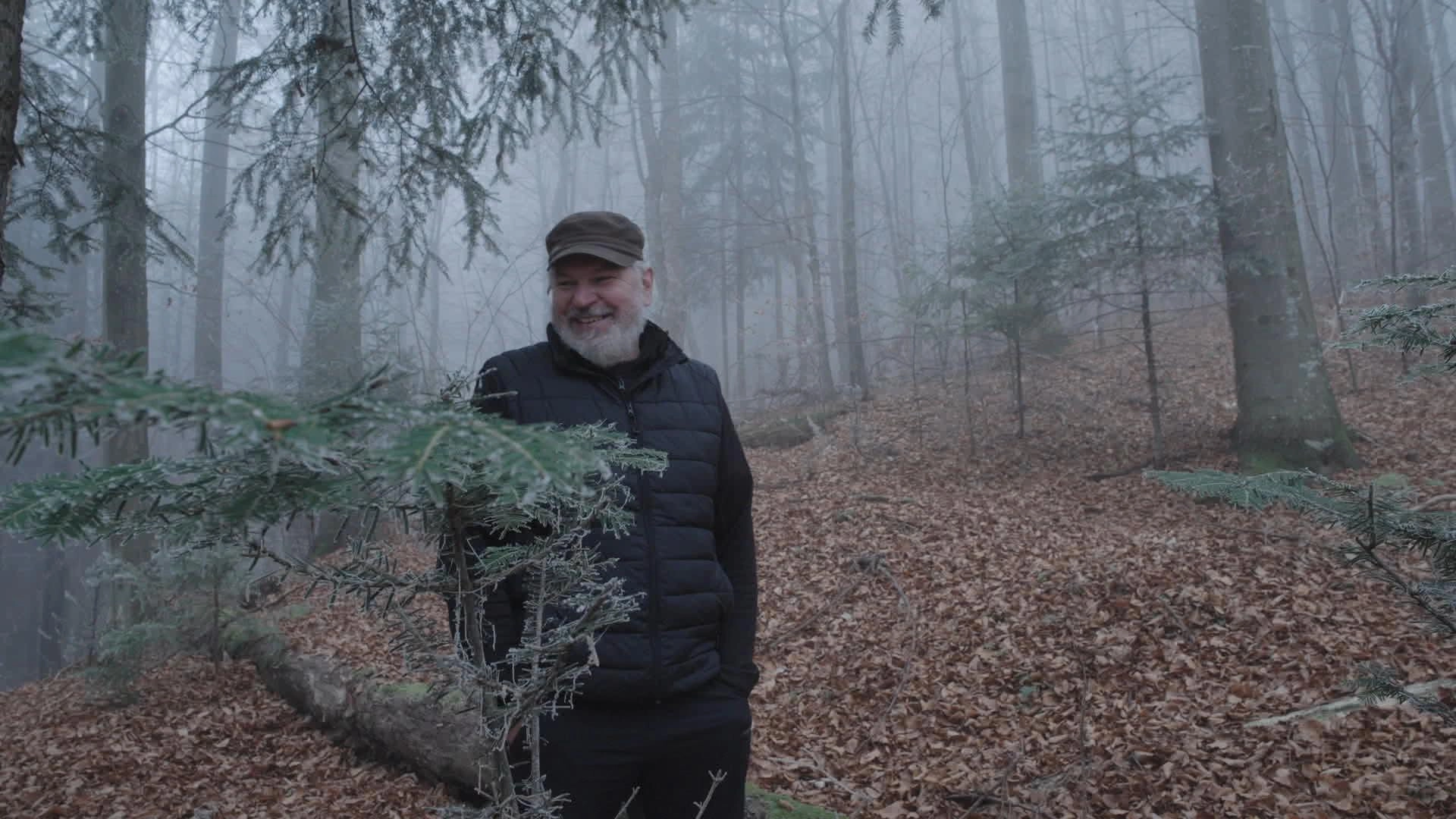 Voice of the Forest