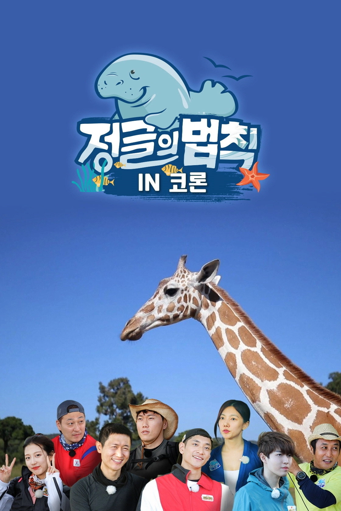 Law of the Jungle