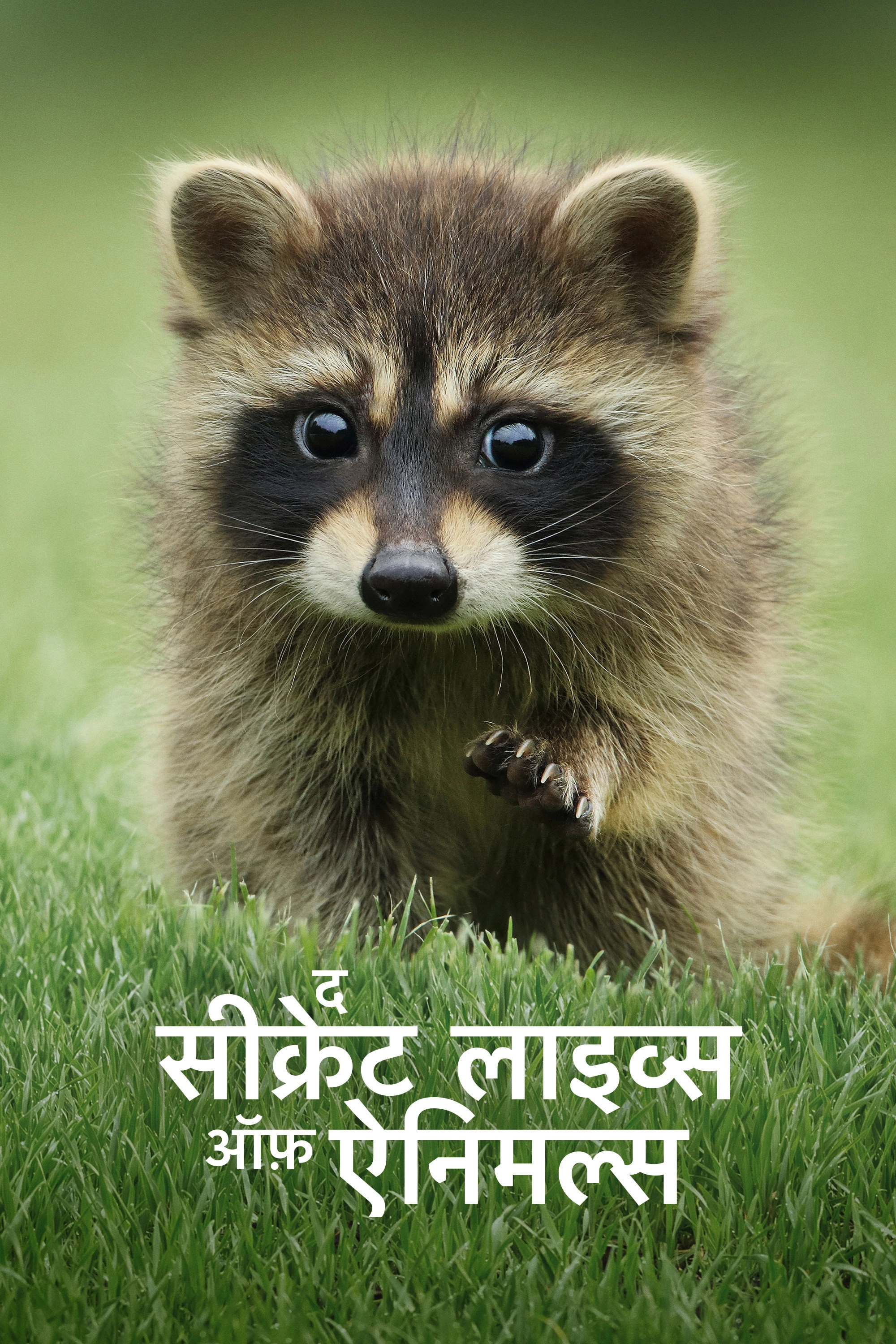 The Secret Lives of Animals