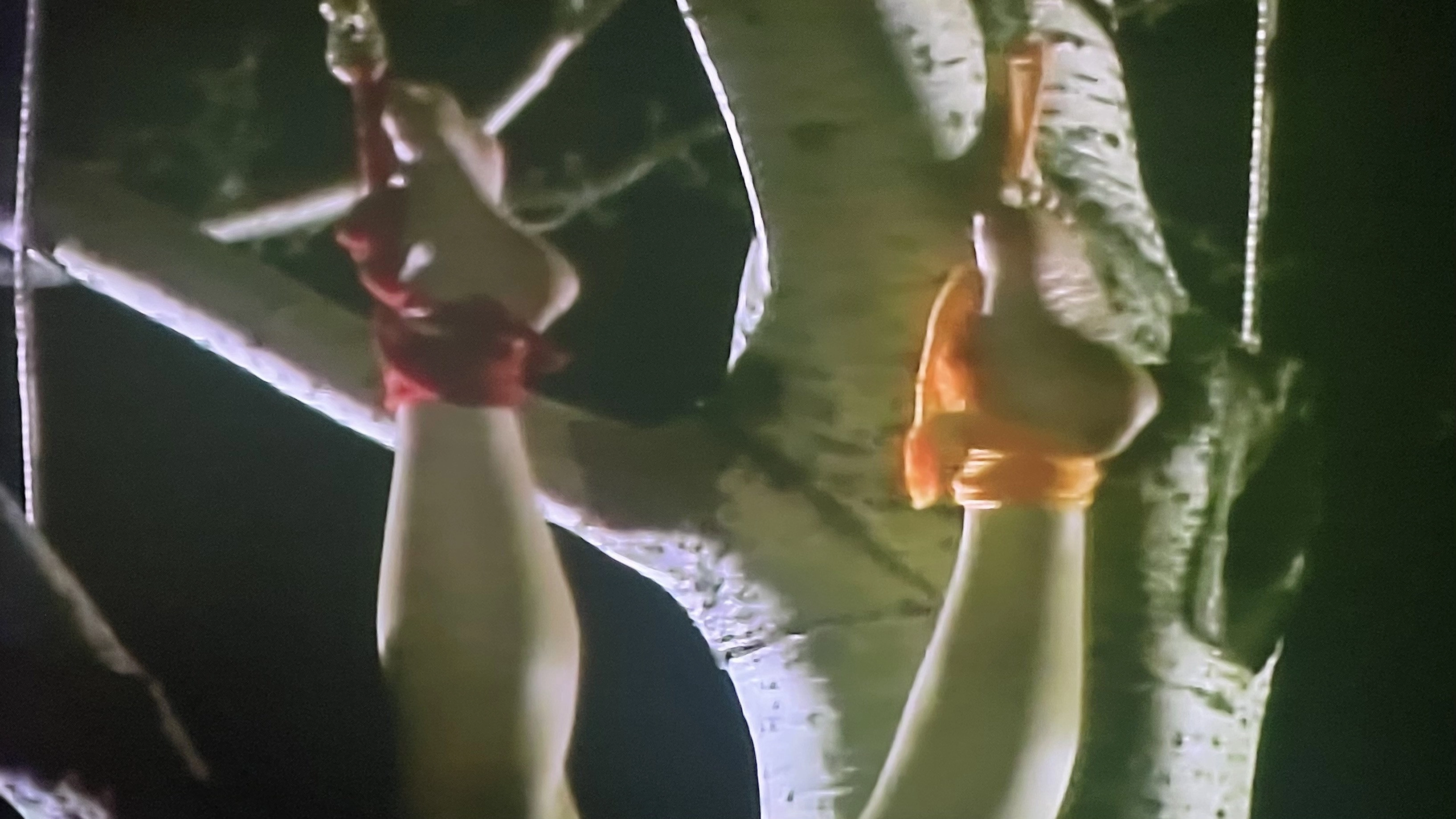 Shaolin Death Squads