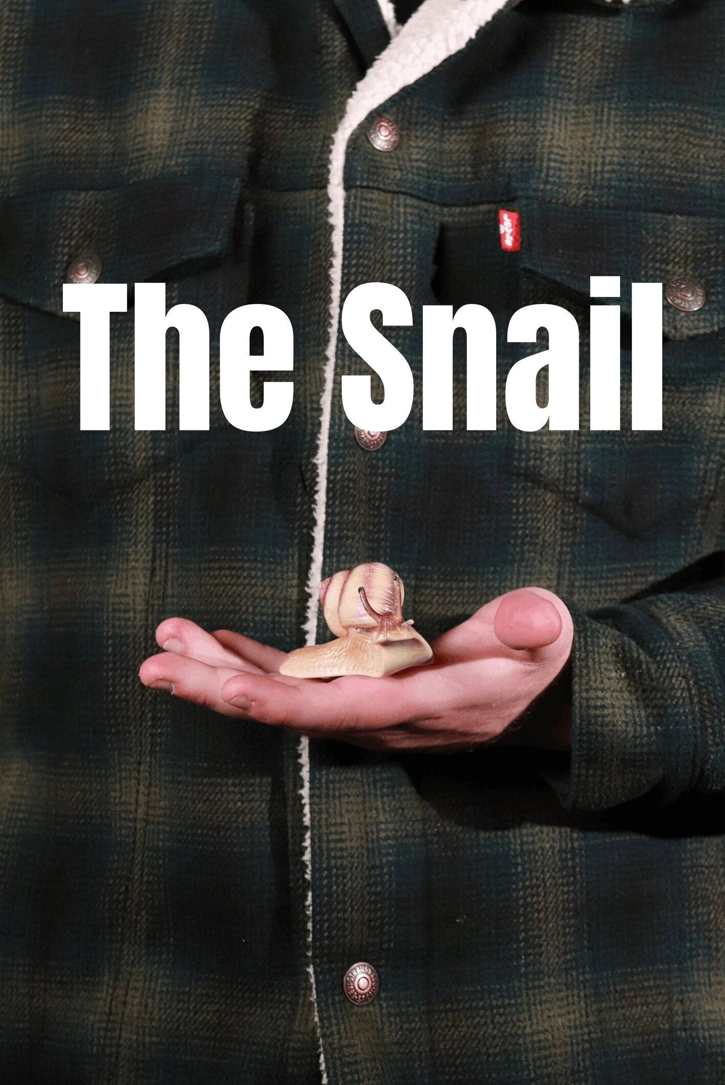 The Snail