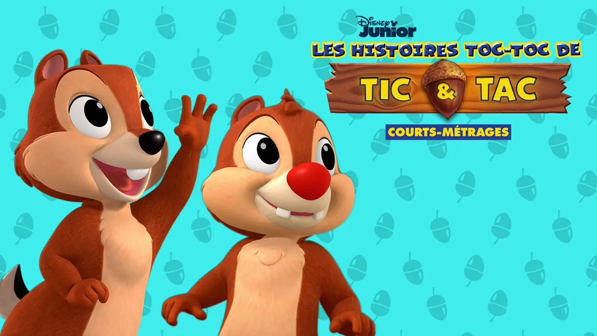 Chip 'n Dale's Nutty Tales