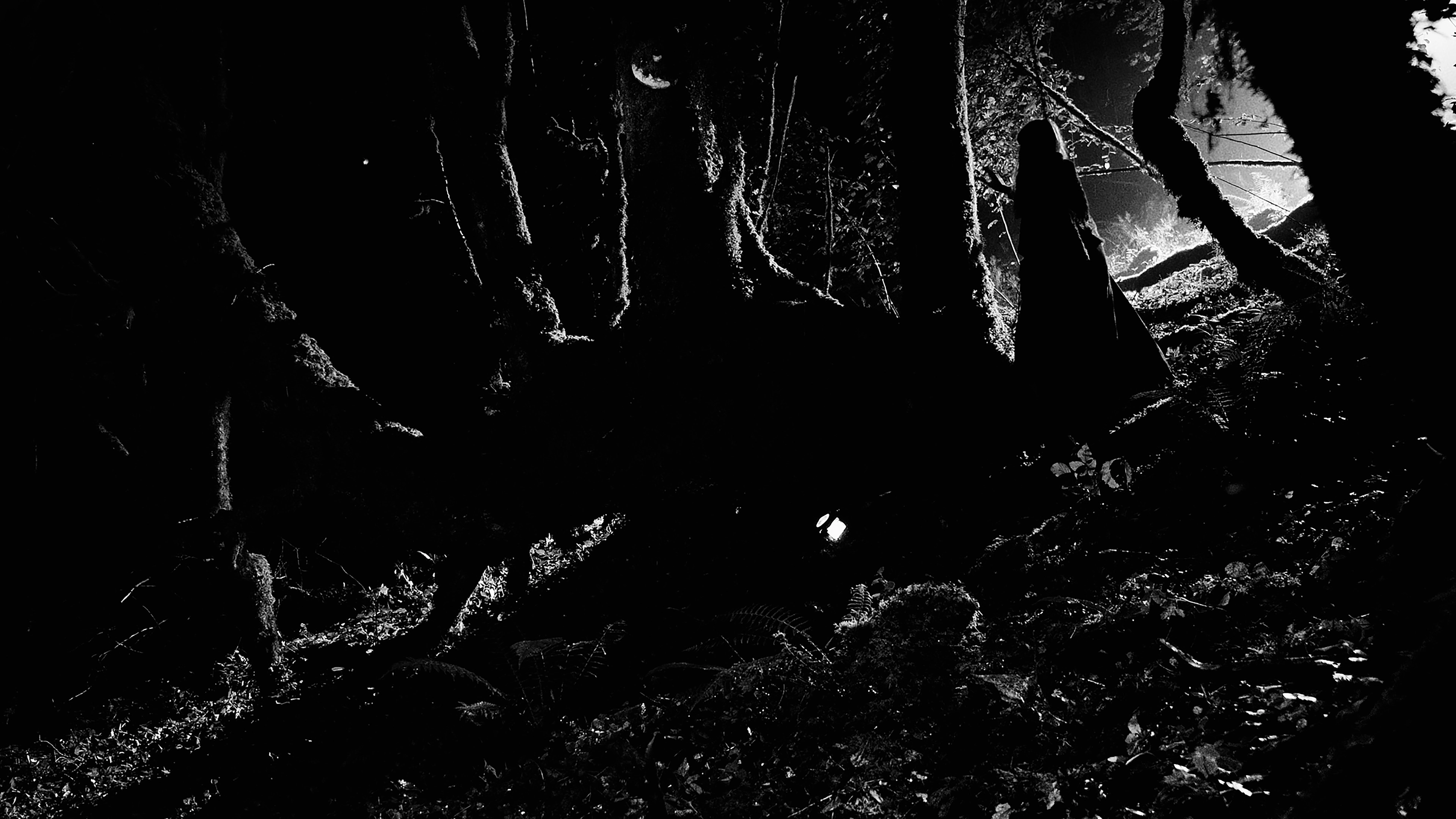 When Darkness Comes