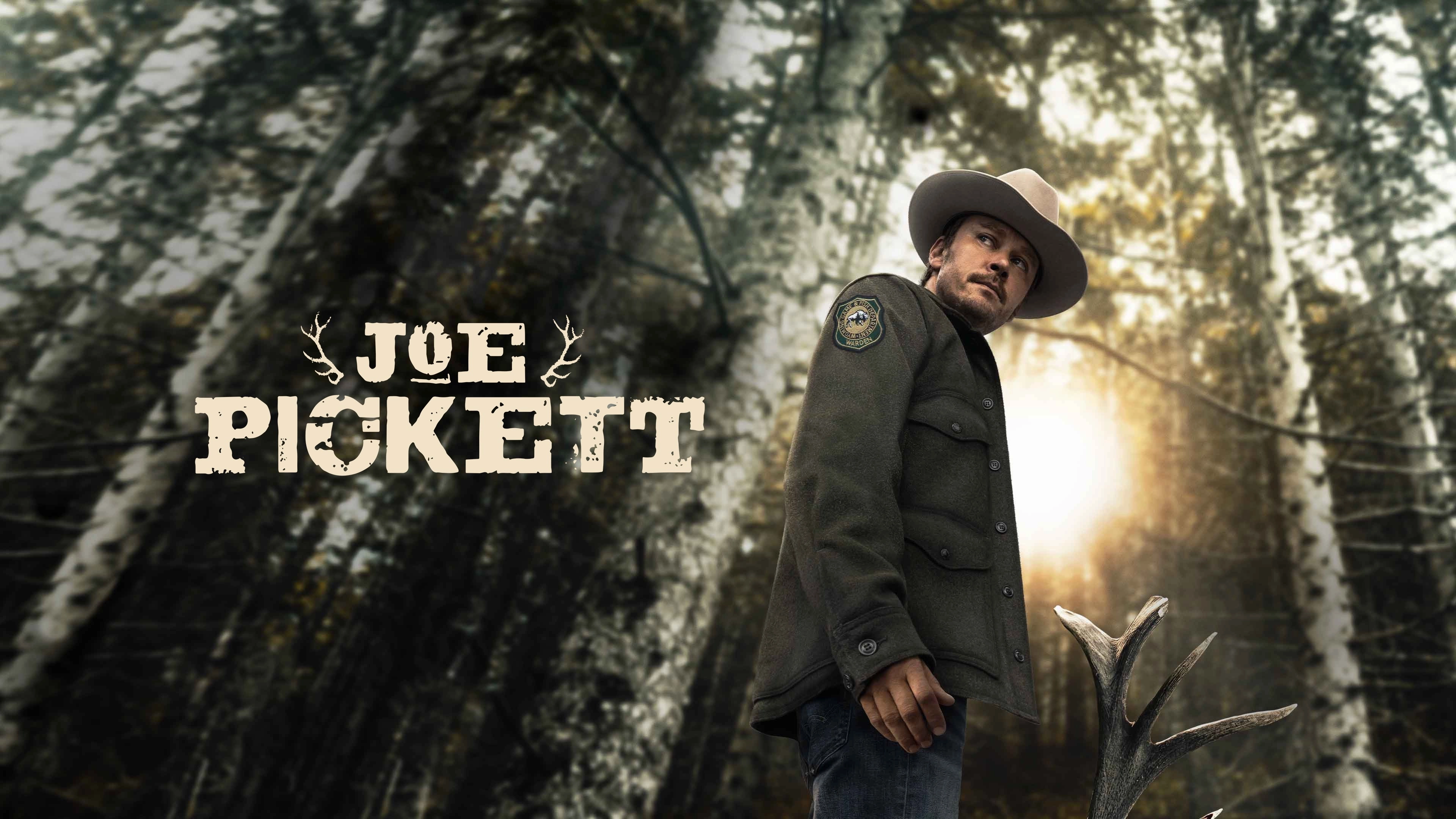 Joe Pickett
