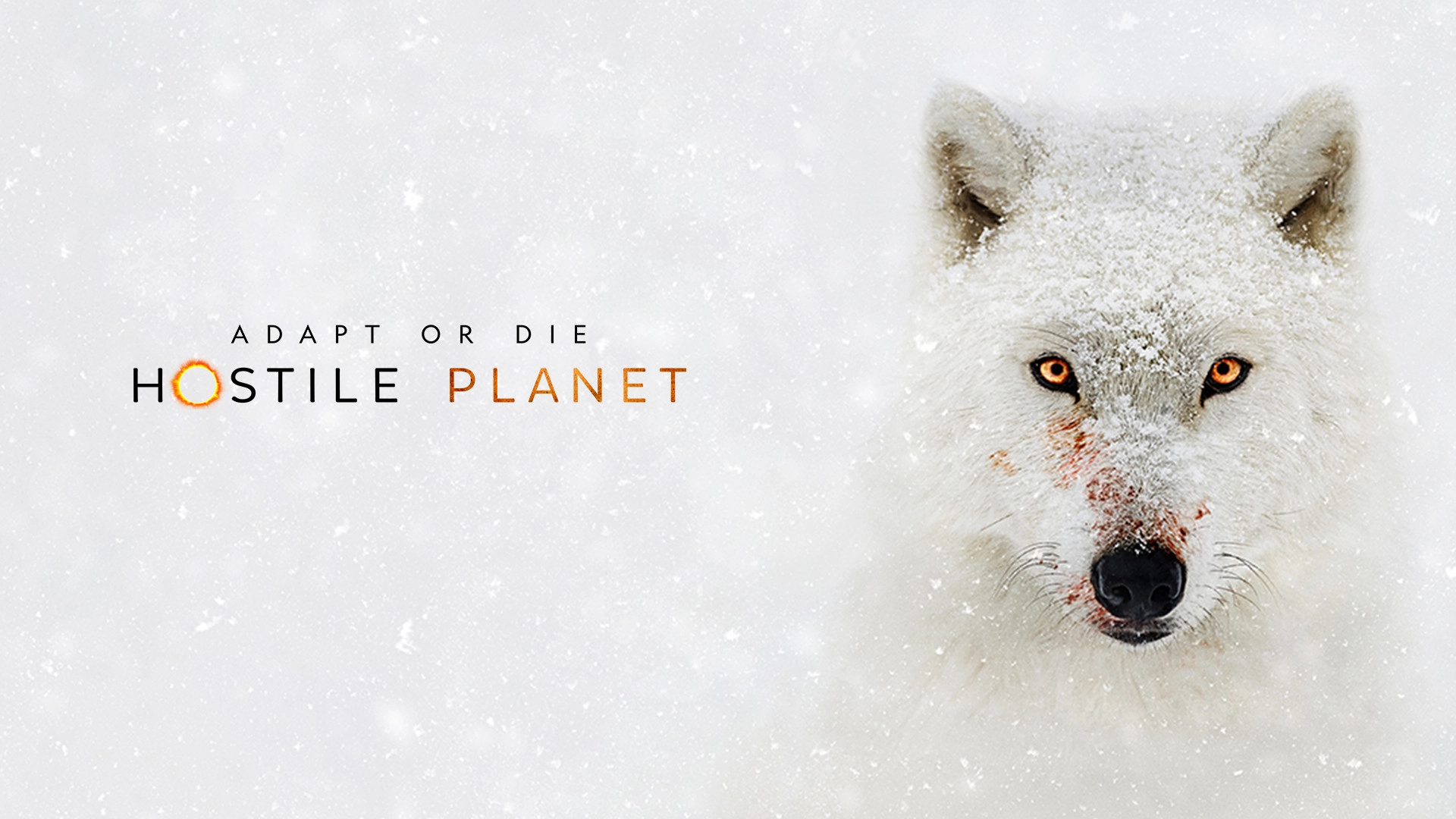 Hostile Planet