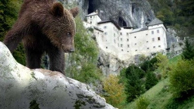 Wild Castles