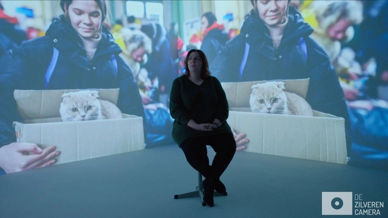 Kitten of vluchteling?