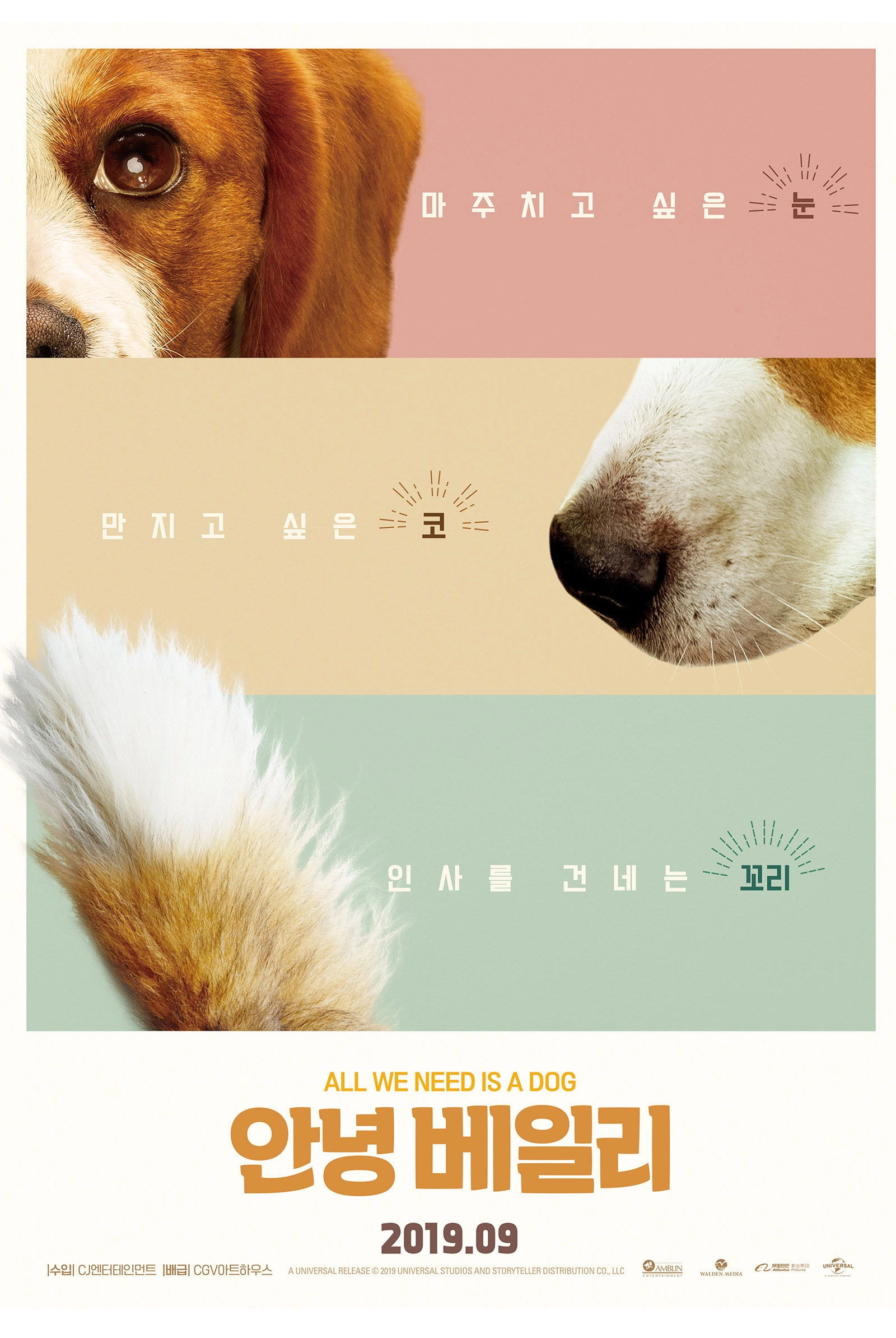 A Dog's Journey