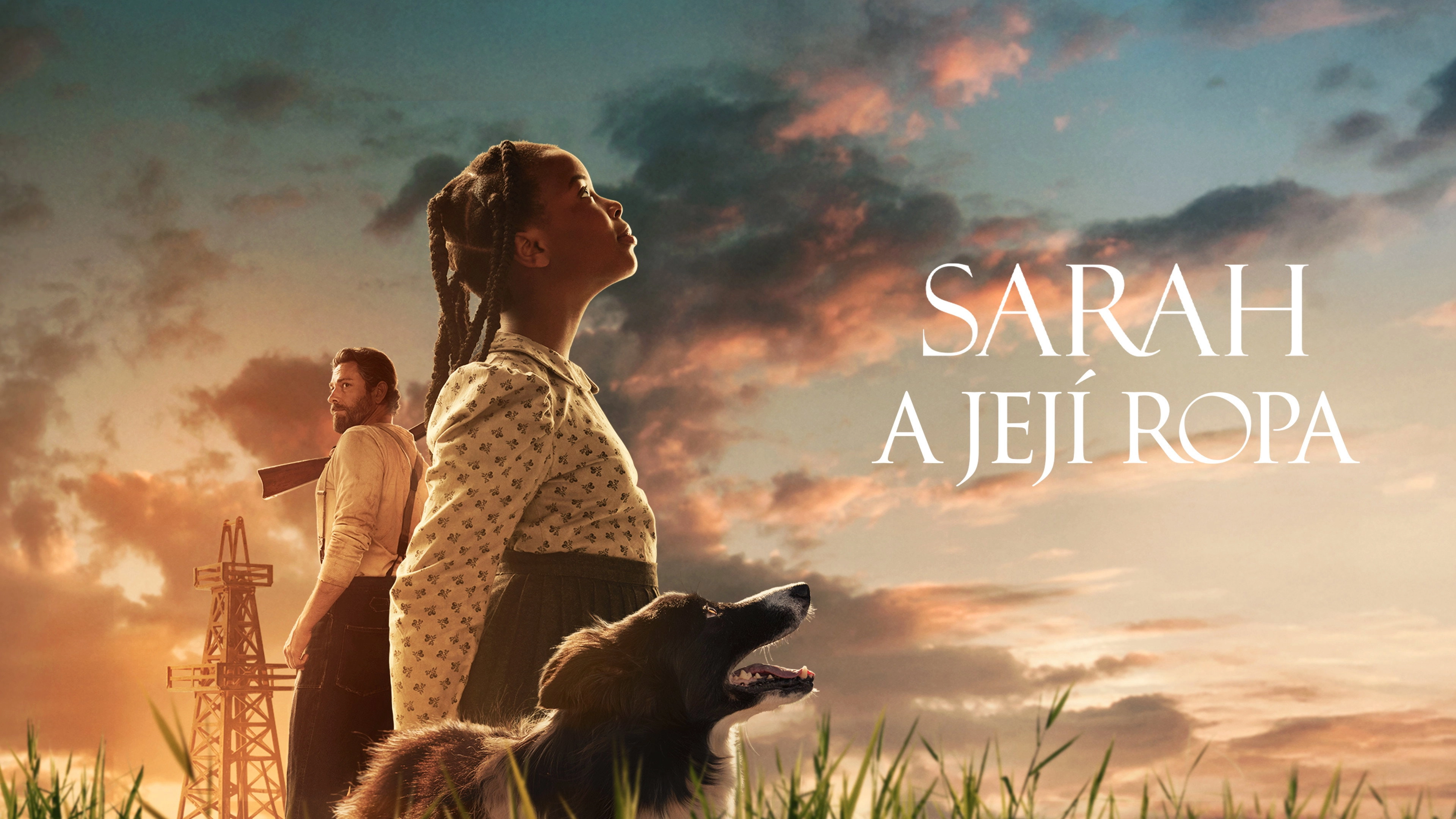Sarah's Oil