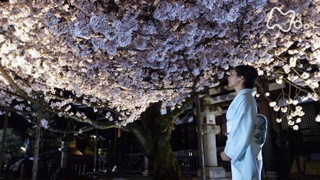 The Secret Lives of Kyoto Folk