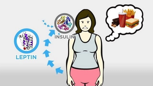 The Skinny on Obesity