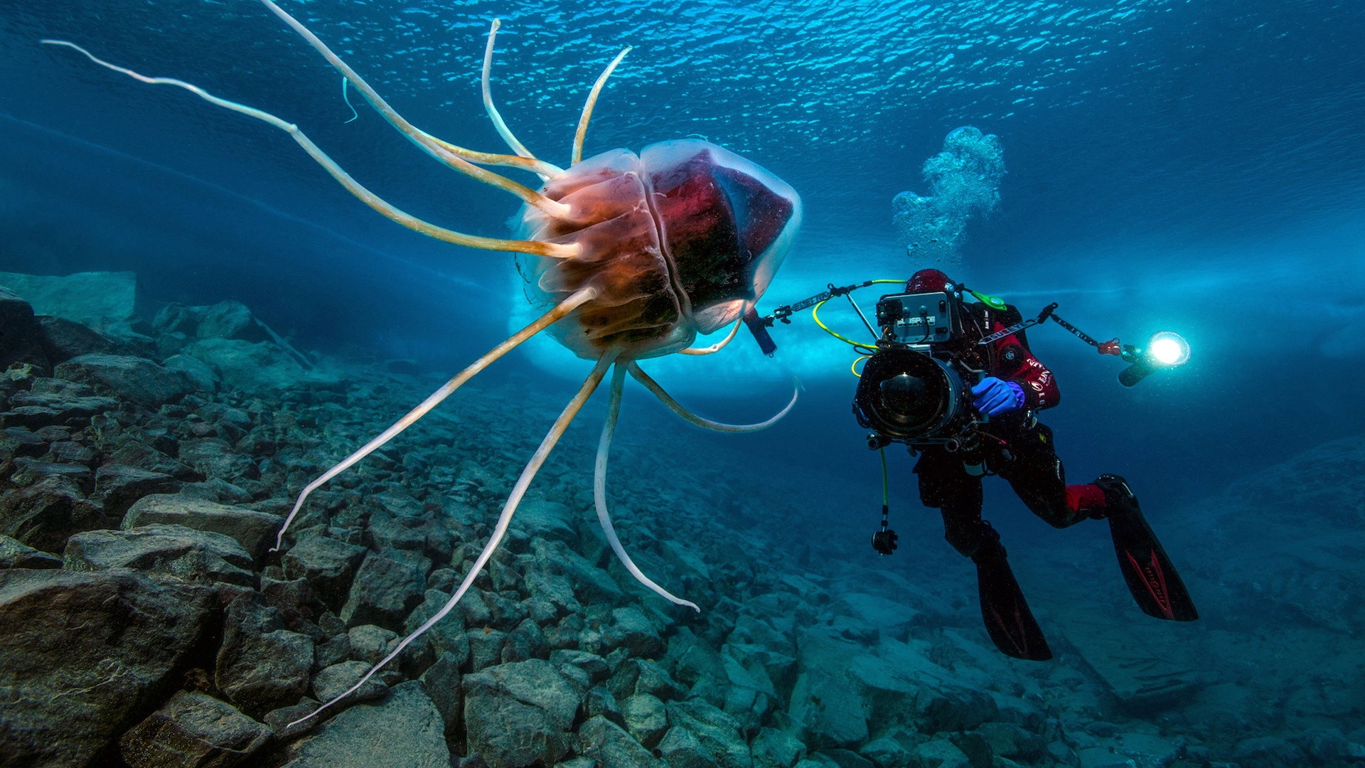 The Deep Med