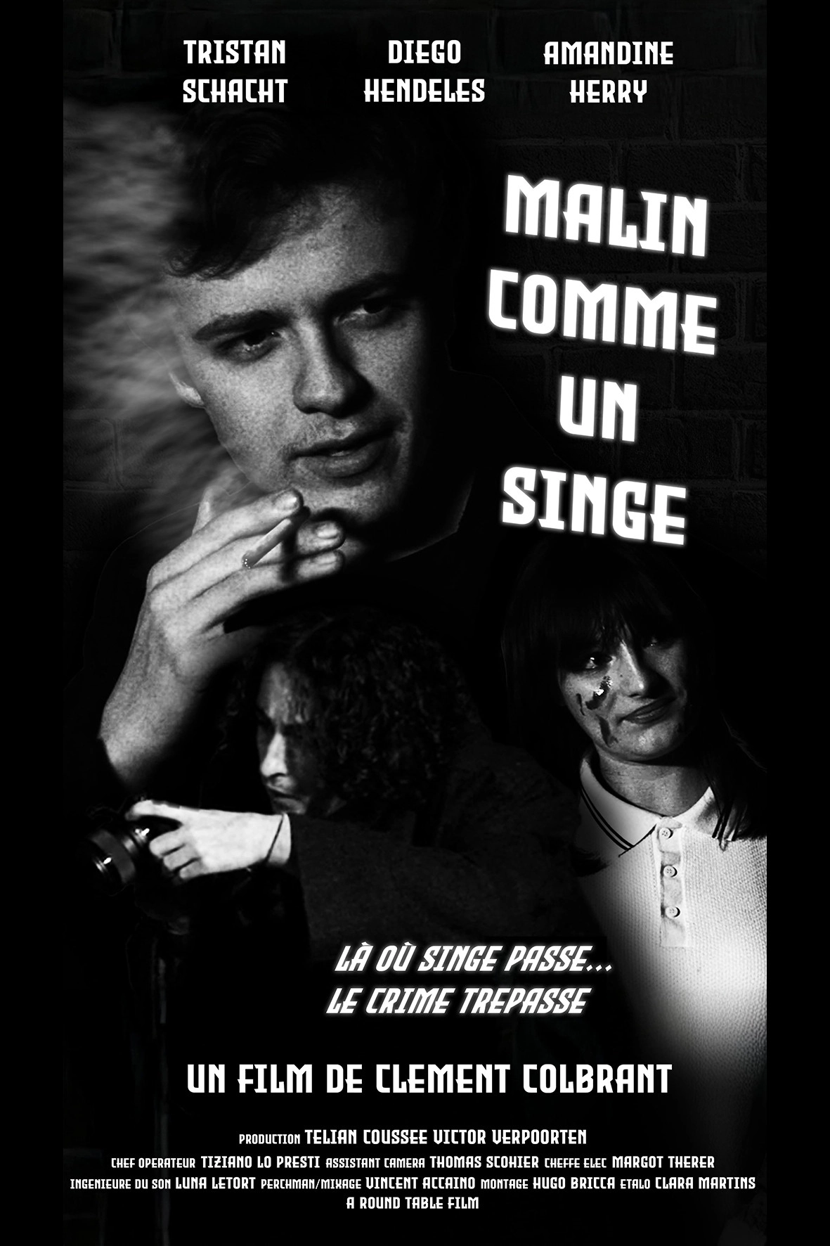 Malin comme un singe