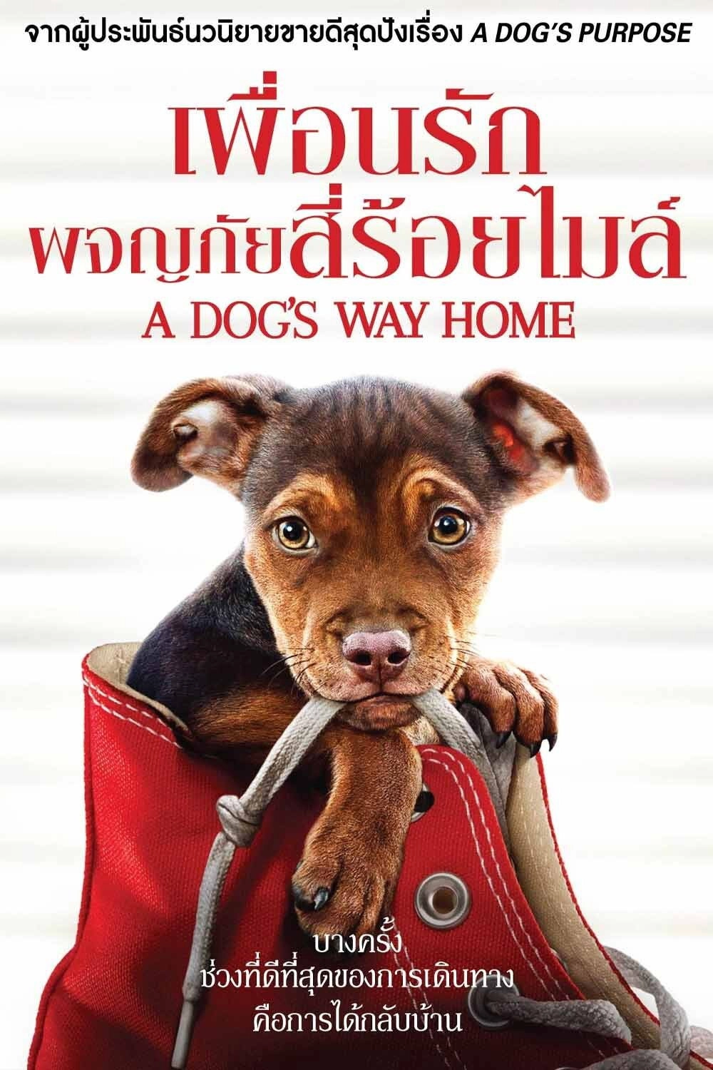 A Dog's Way Home