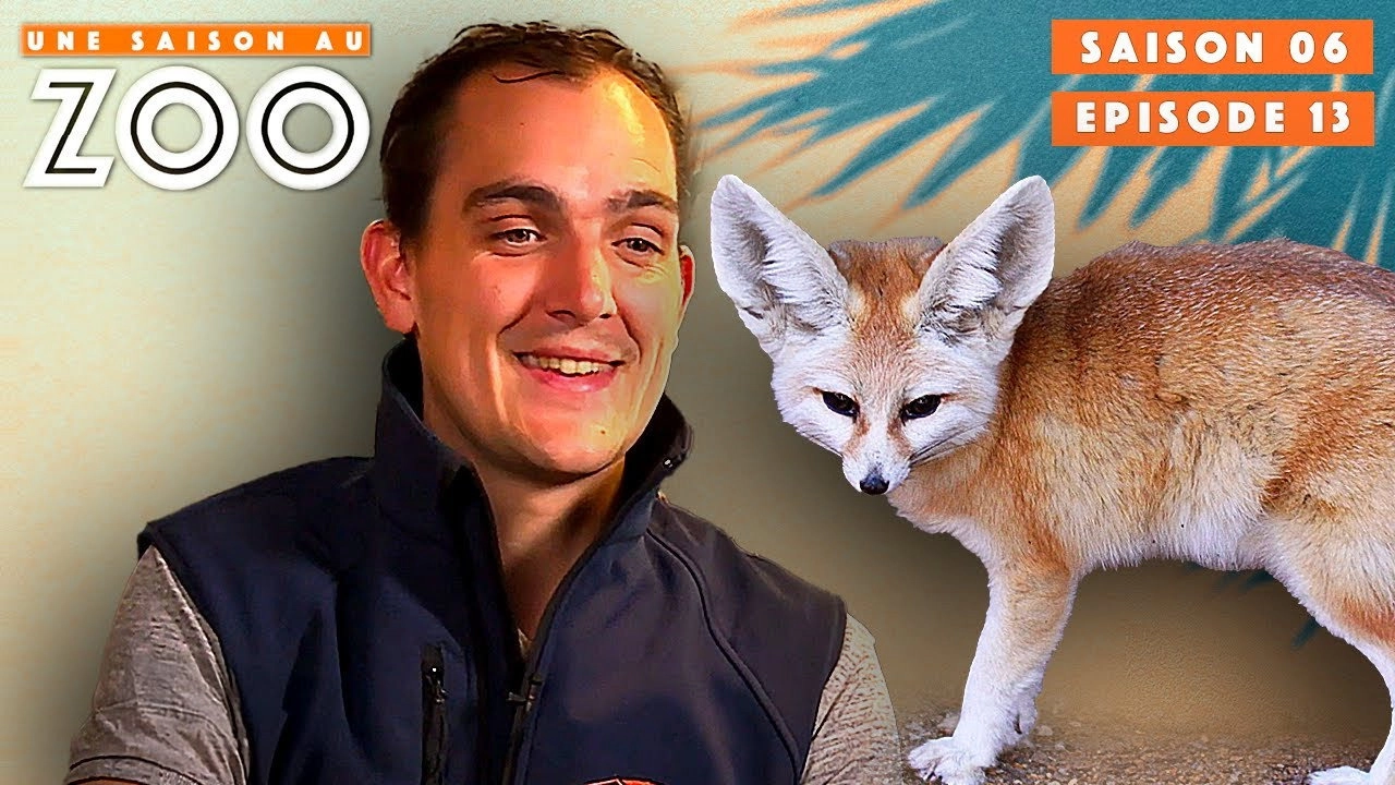 Une saison au zoo