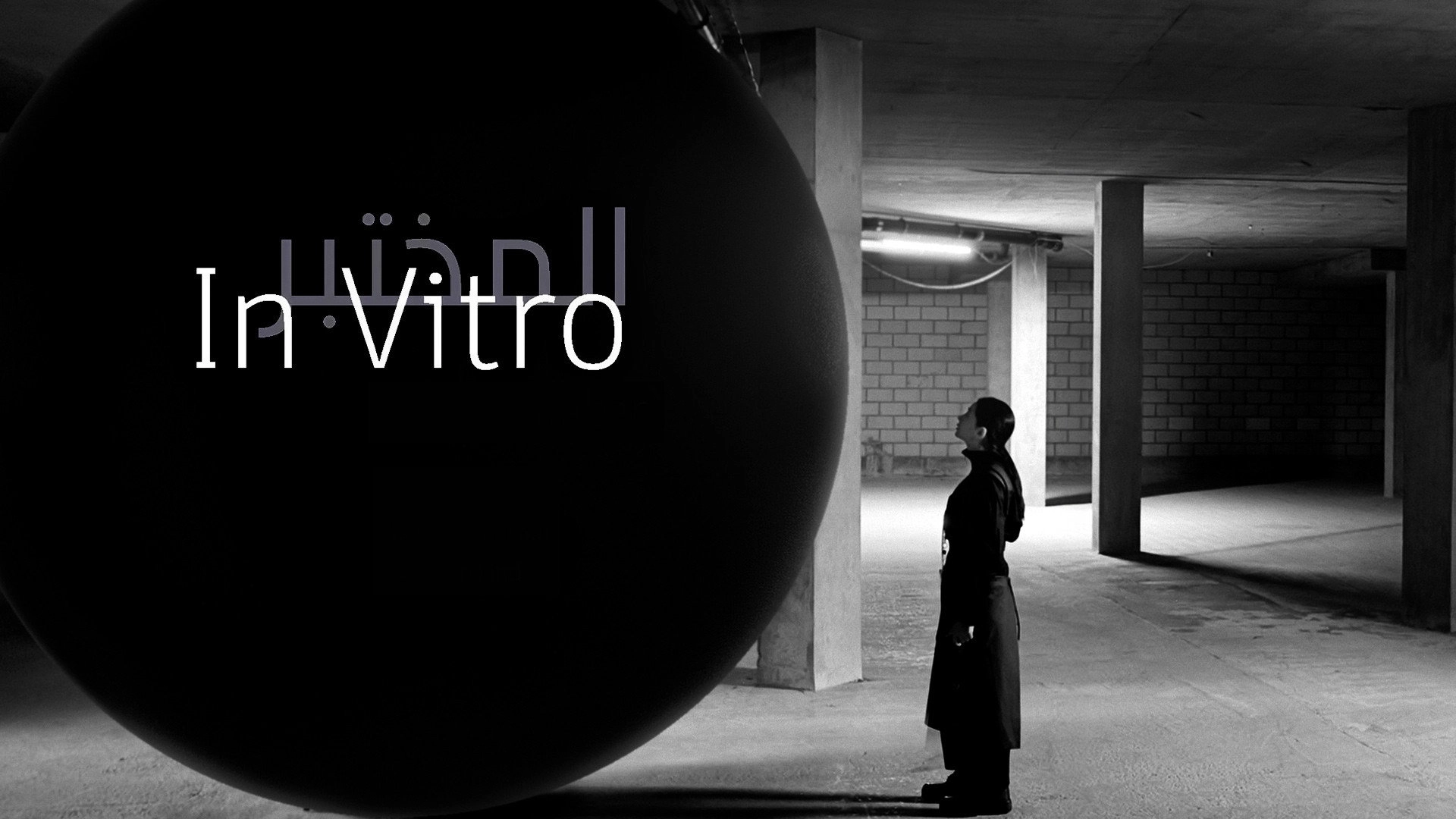 In Vitro
